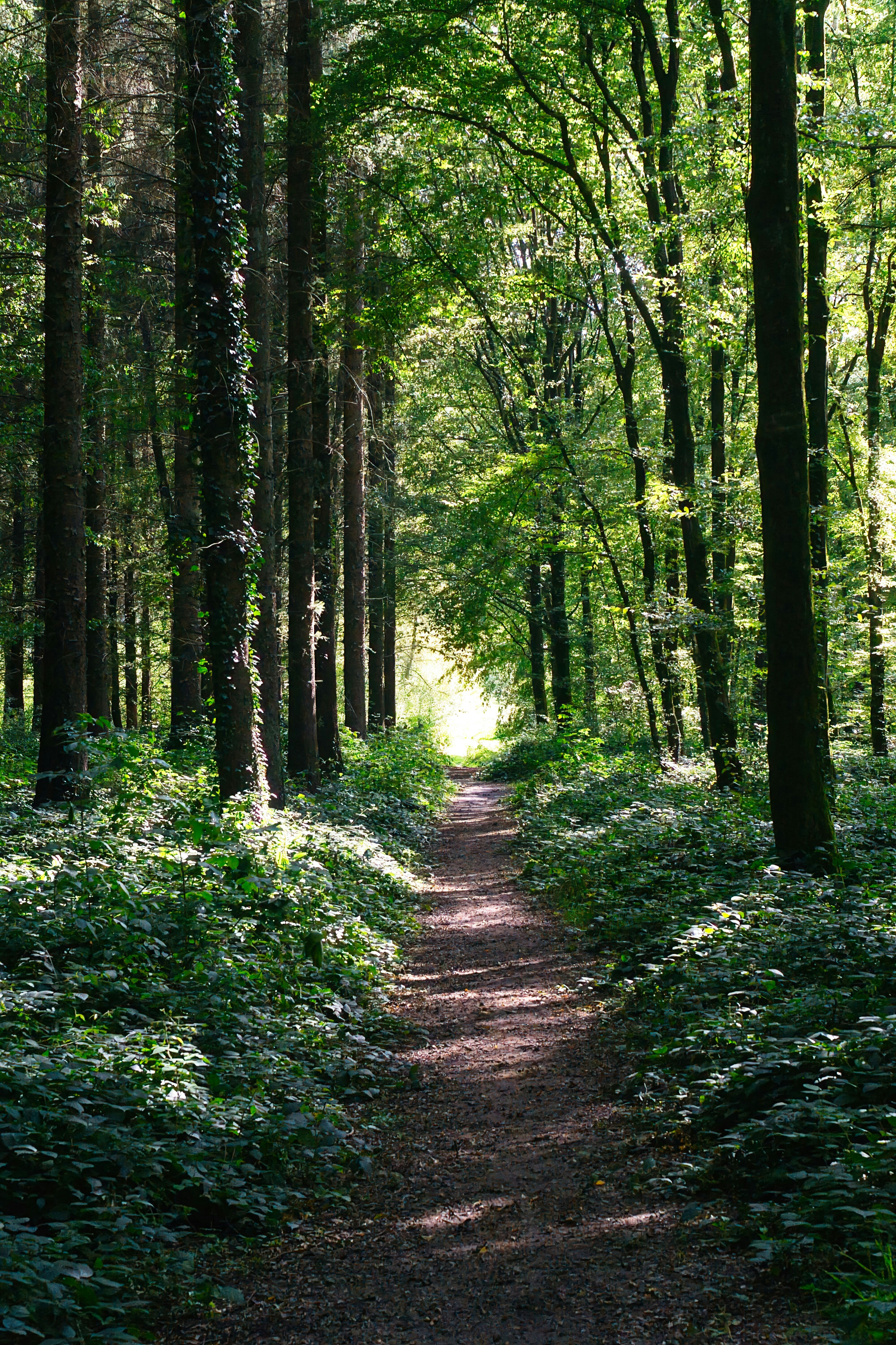 Photo by xd_studio_creation