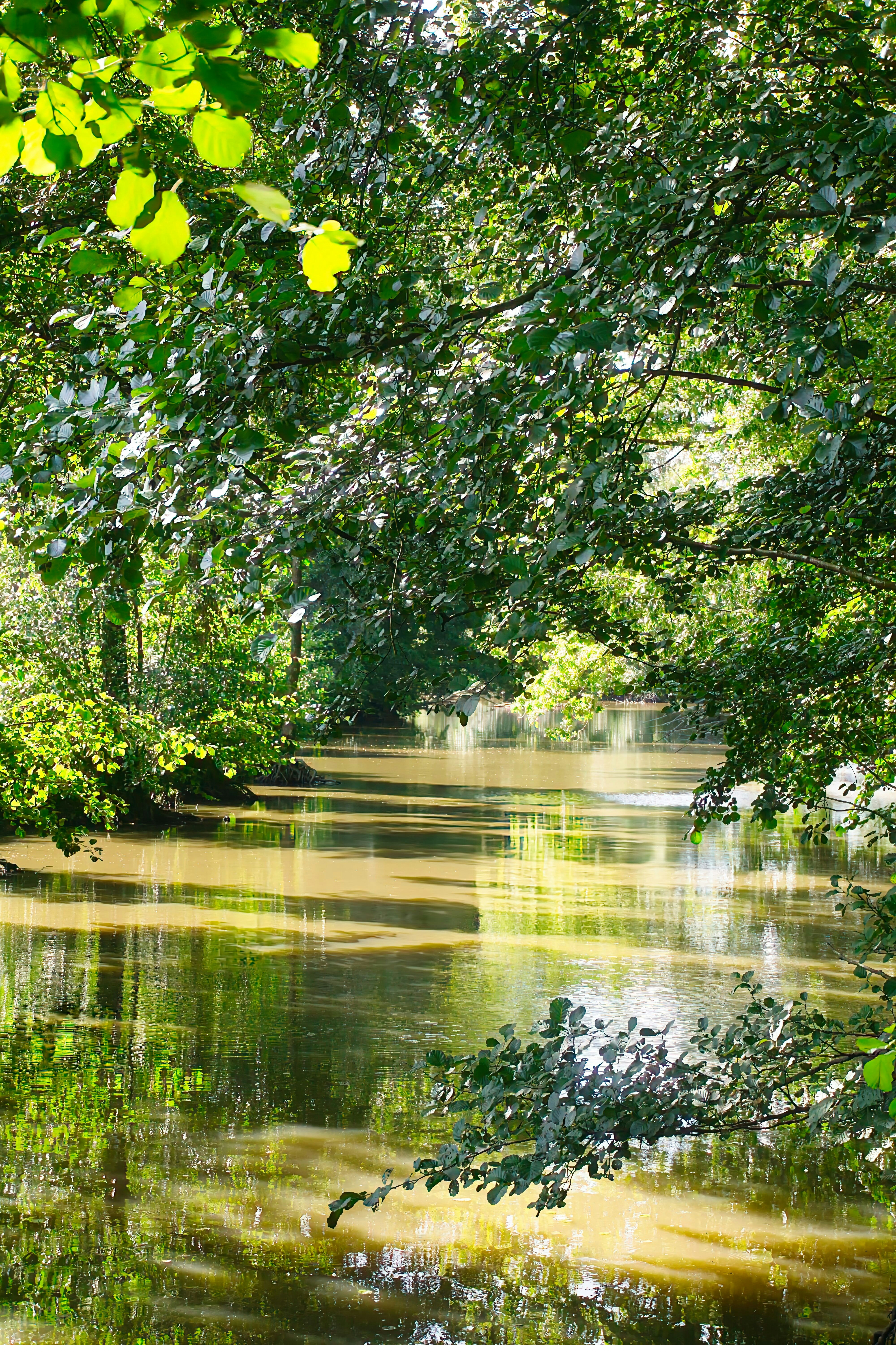 Photo by xd_studio_creation