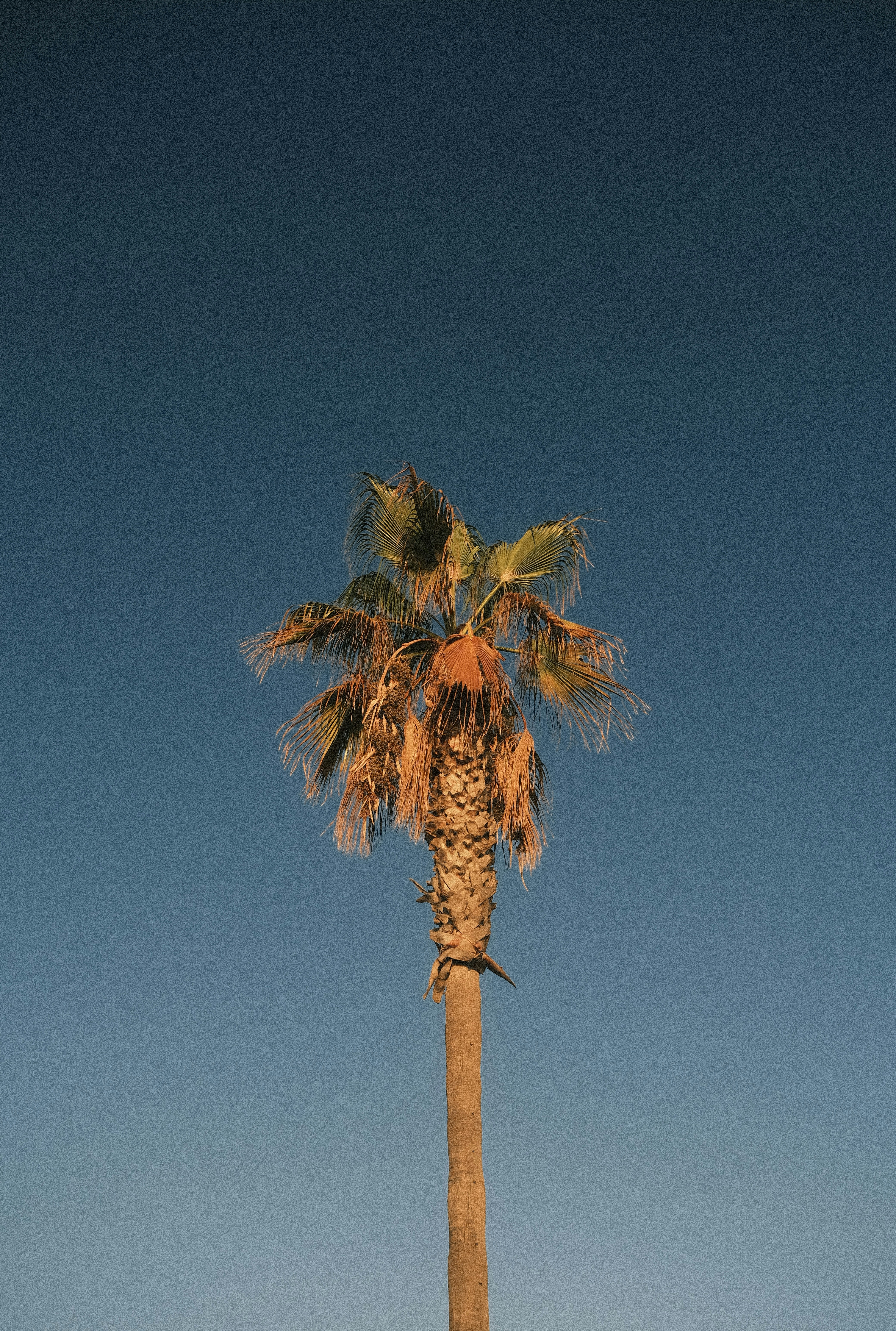 Photo by visualsbying