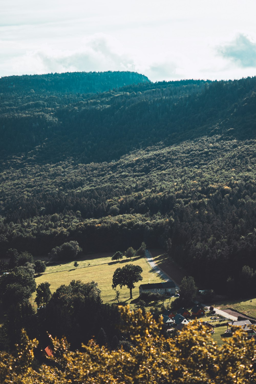 a scenic view of a lush green hillside