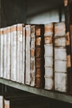 a row of books sitting on top of a wooden shelf