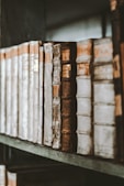 a row of books sitting on top of a wooden shelf