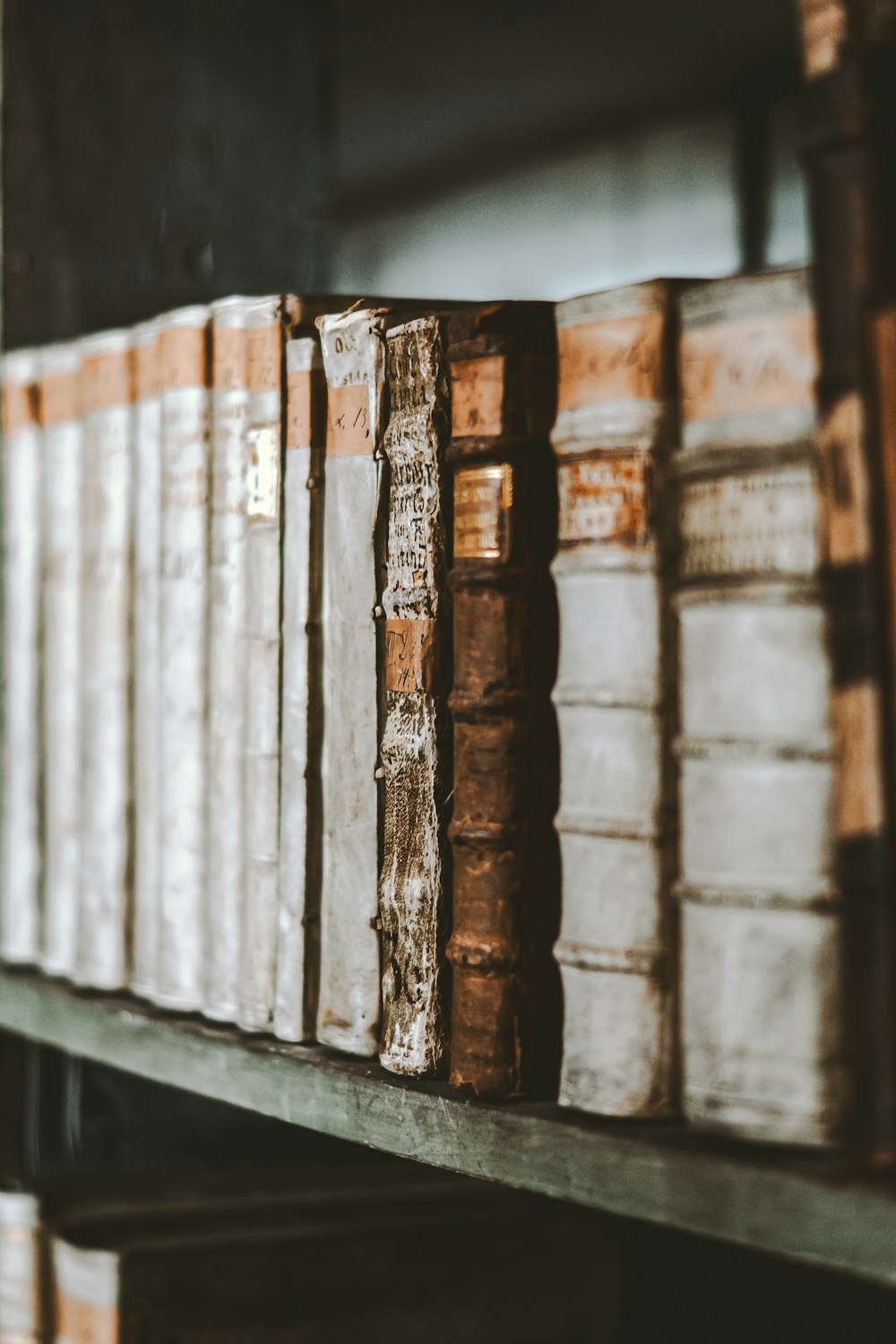 una fila di libri seduti in cima a uno scaffale di legno