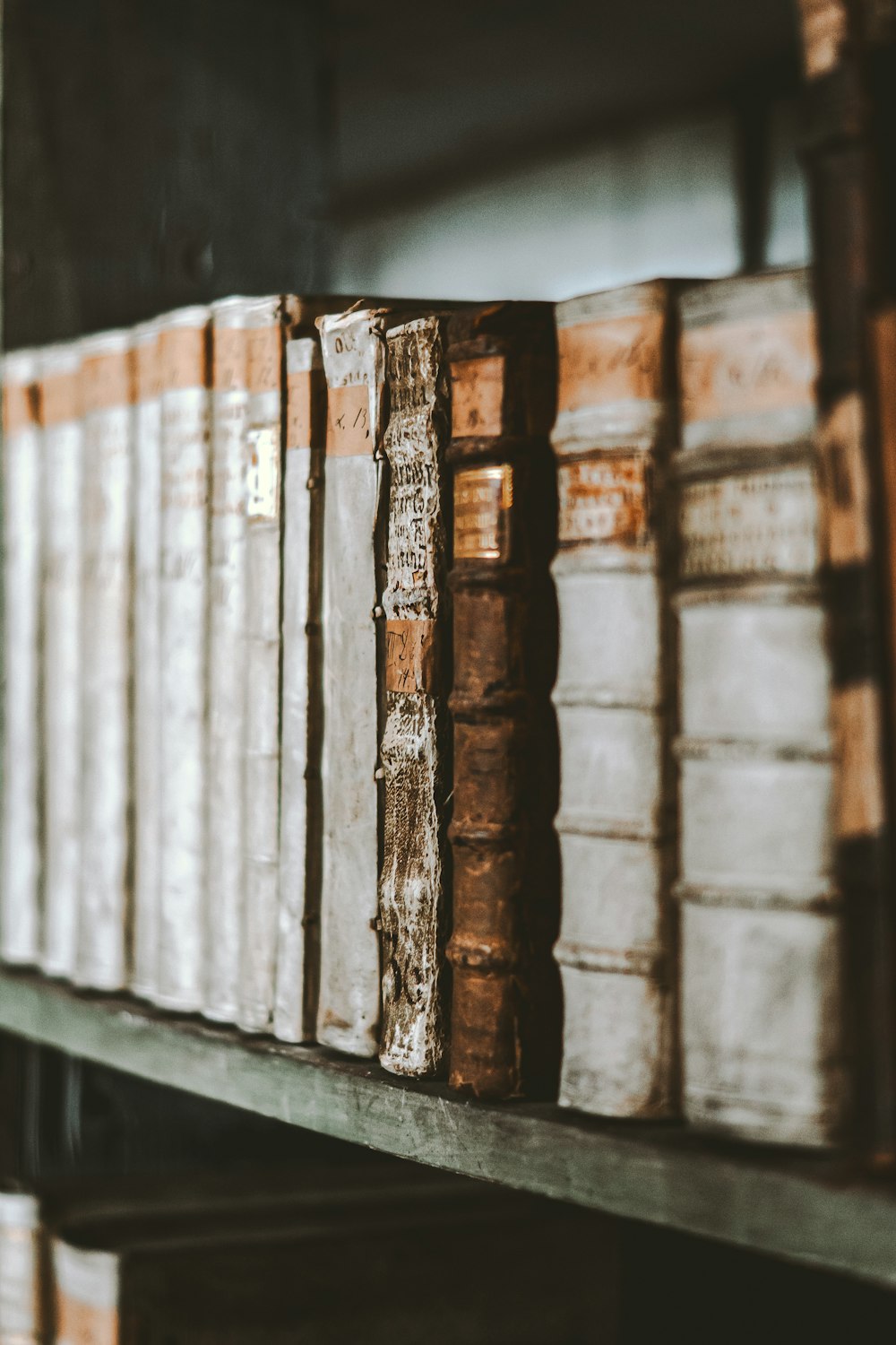 a row of books sitting on top of a wooden shelf