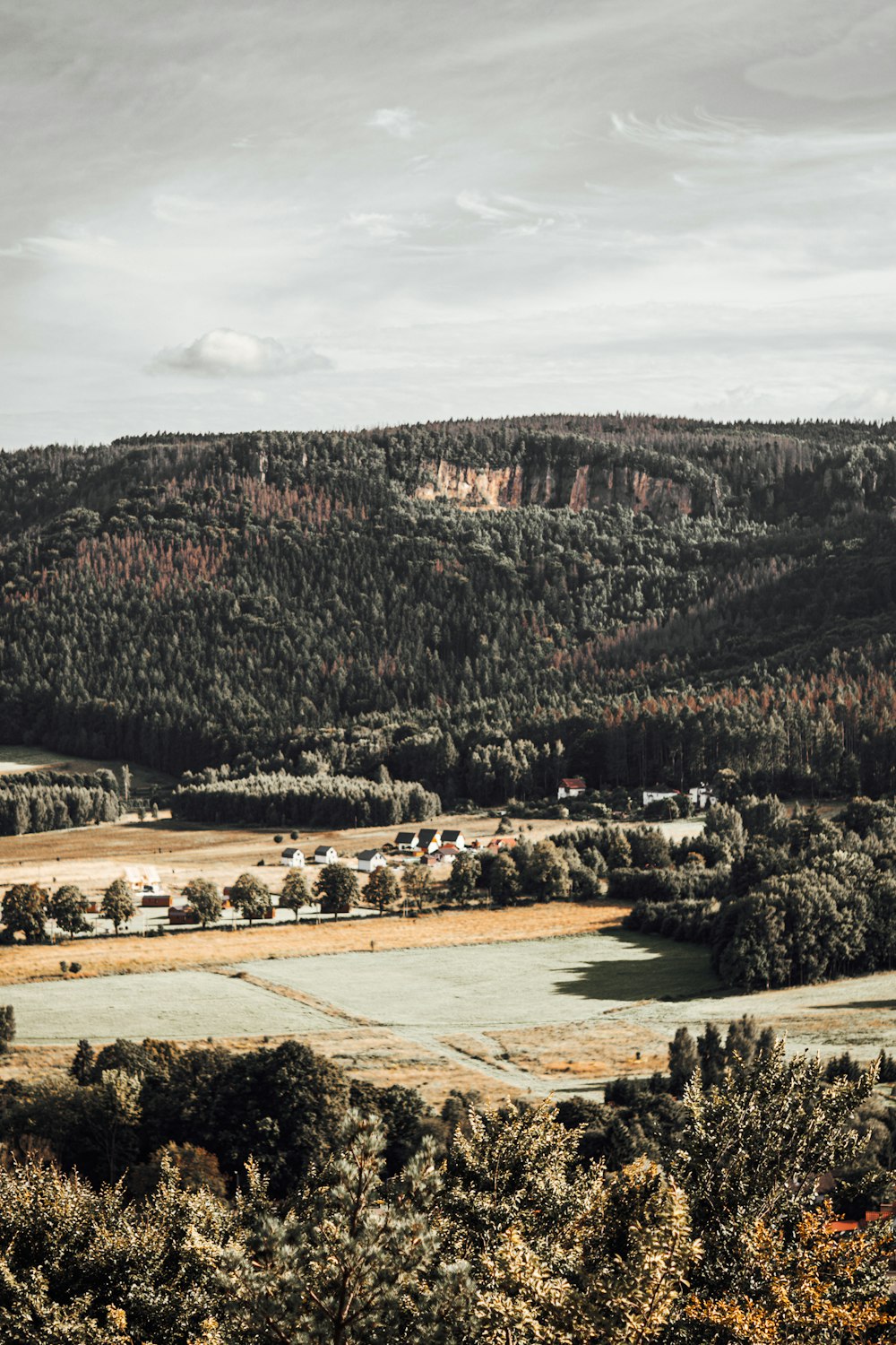 a scenic view of a valley surrounded by trees