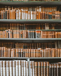 Elegant office interior with warm brown tones and legal books on shelves.
