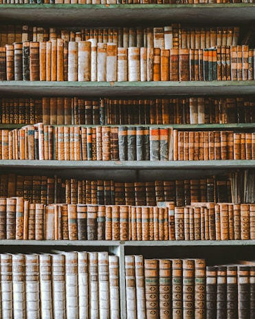 Classic law firm interior featuring wooden shelves filled with legal volumes and a polished desk.