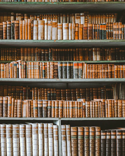 A warmly lit wooden bookshelf filled with leather-bound high fantasy books, some with embossed crosses on their spines, set against a backdrop of aged parchment scrolls.