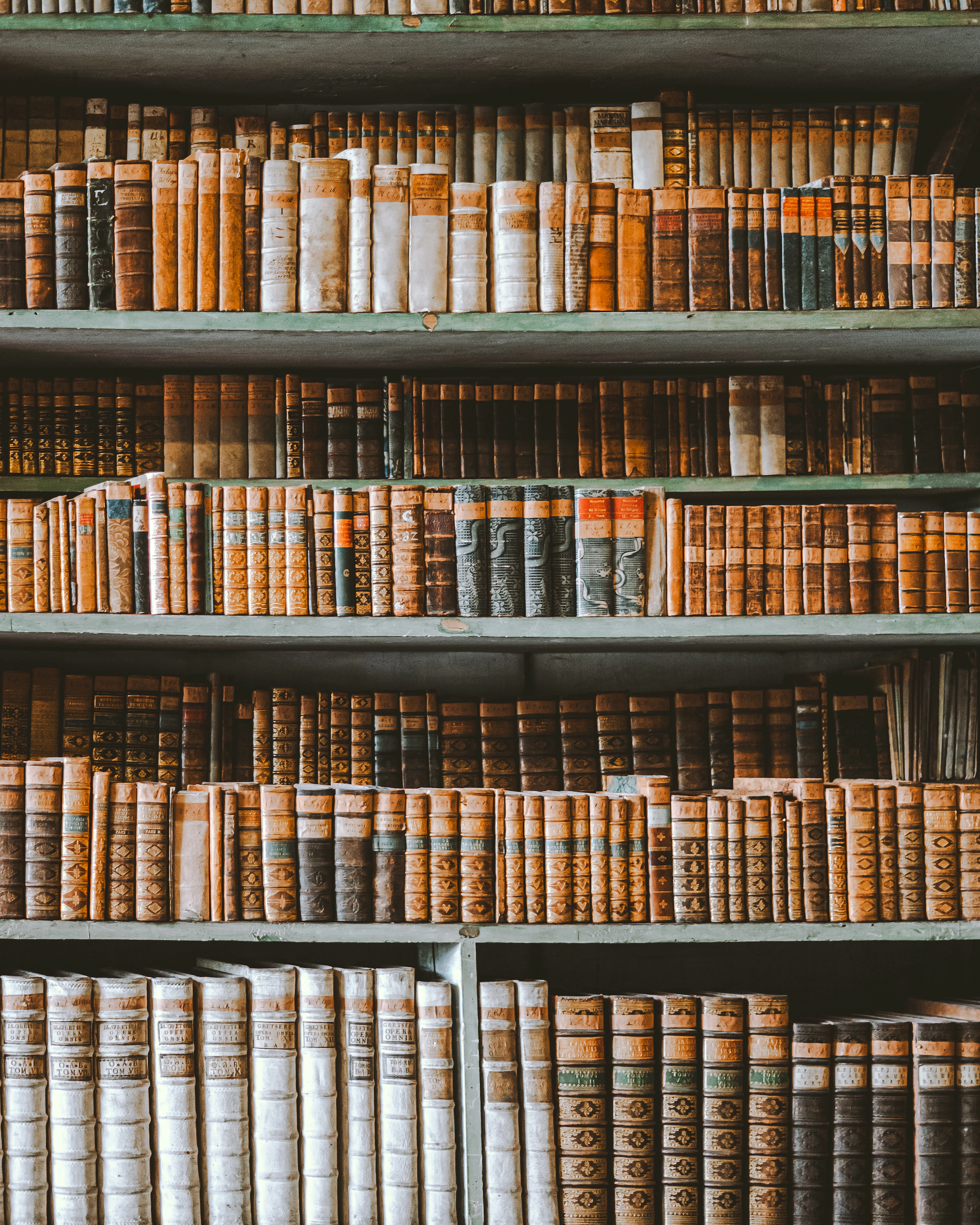 Library shelves full of books