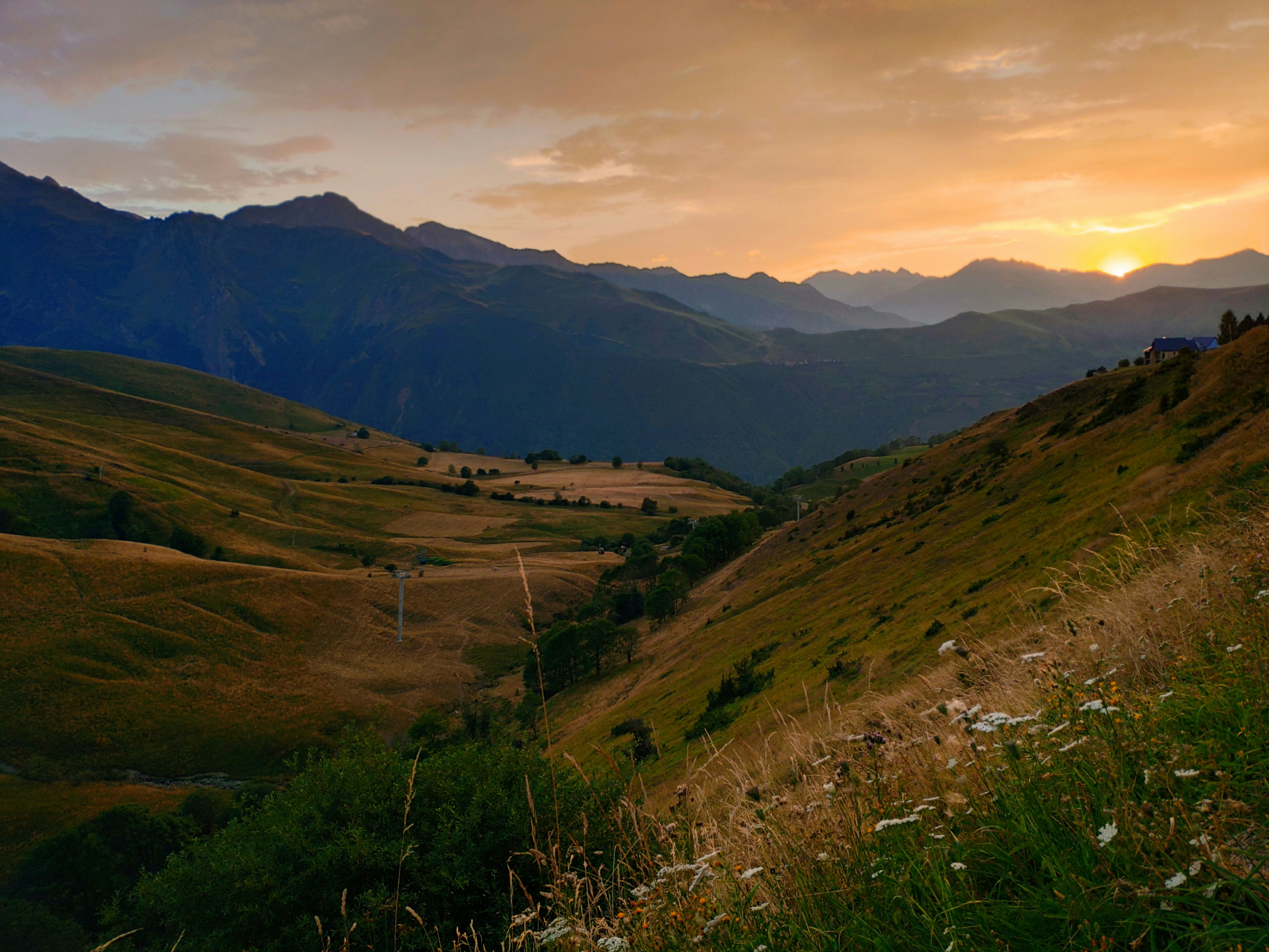 Photo by milanoroyal