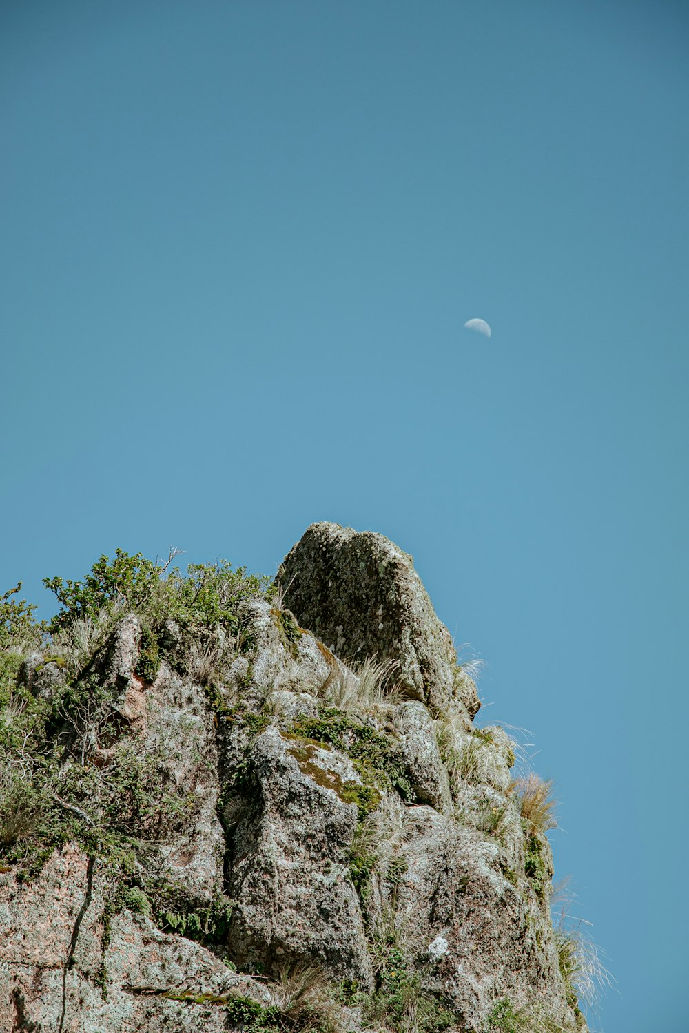 a bird sitting on top of a rocky cliff