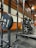 A gym setting featuring a squat rack with a barbell loaded with several weight plates, prominently branded with 'HAMMER' and 'STRENGTH'. The gym has wooden walls and ceiling, providing a rustic look. A leather bench press seat is positioned in front of the squat rack. Various weightlifting equipment and a window with white frames are visible.