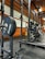 A gym setting featuring a squat rack with a barbell loaded with several weight plates, prominently branded with 'HAMMER' and 'STRENGTH'. The gym has wooden walls and ceiling, providing a rustic look. A leather bench press seat is positioned in front of the squat rack. Various weightlifting equipment and a window with white frames are visible.