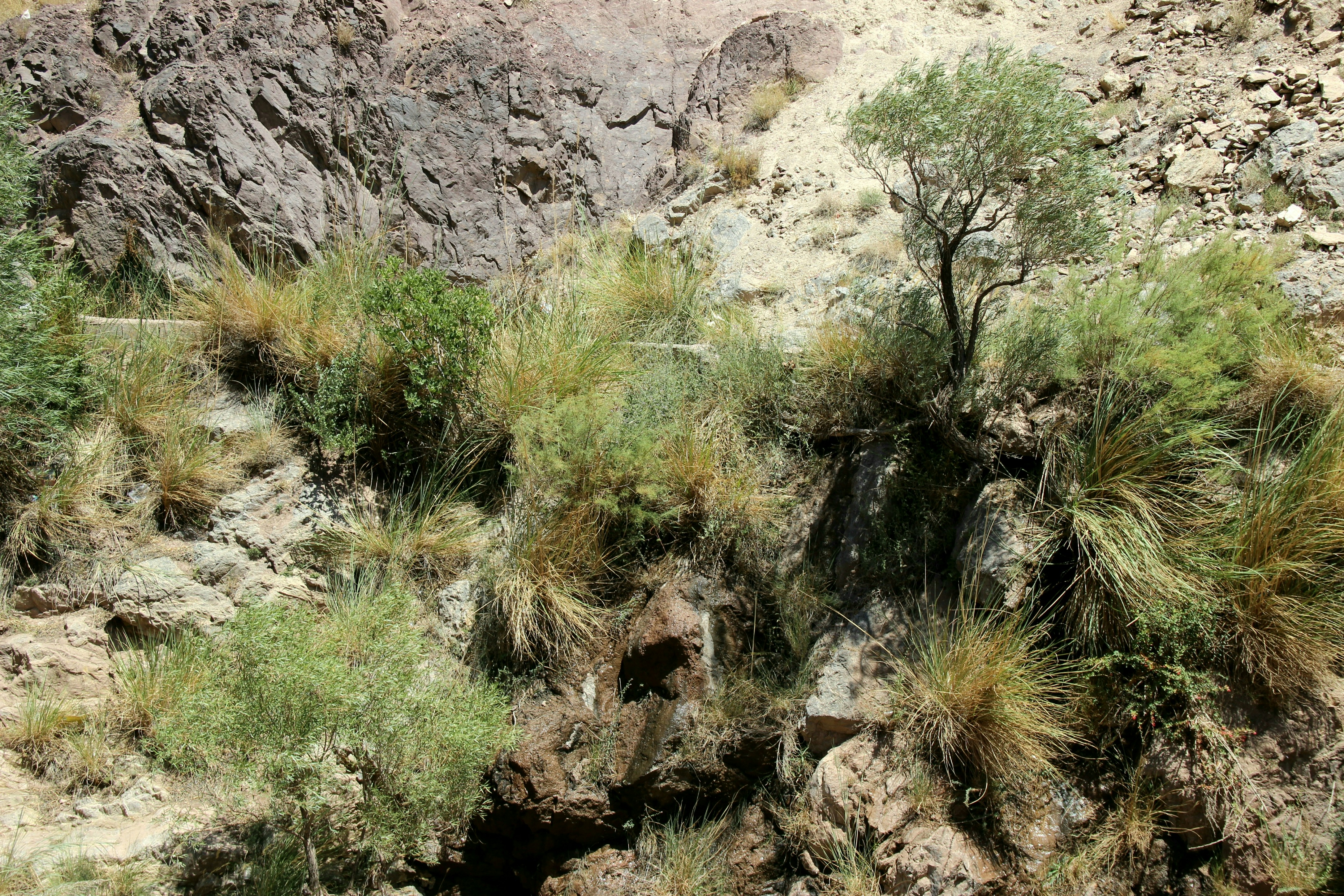 Photo by paris_nature_photo