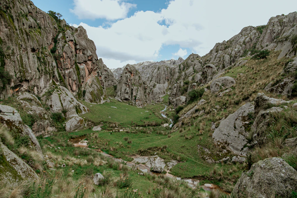 a grassy valley surrounded by rocky mountains under a cloudy sky