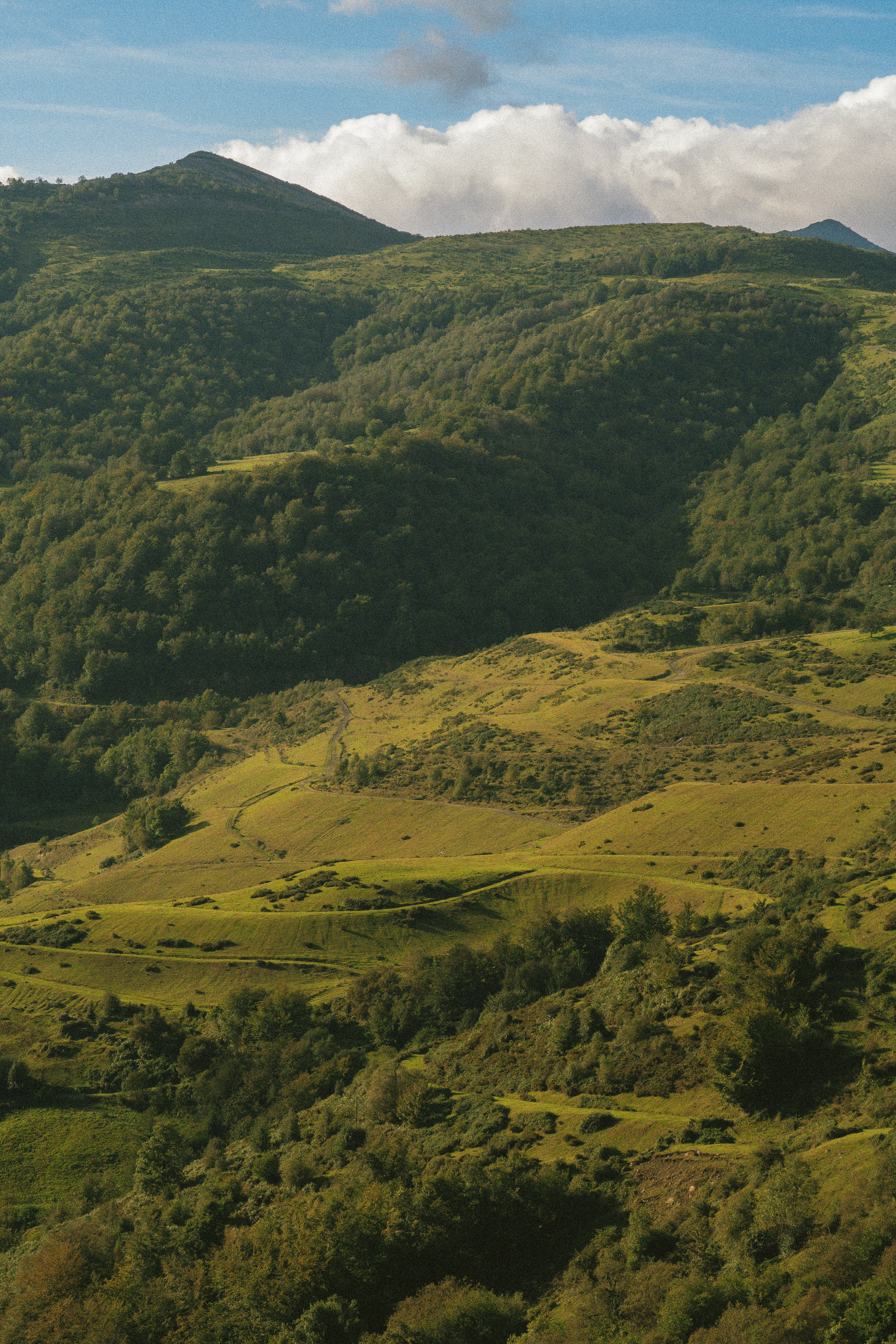 Photo by seenthroughmpk