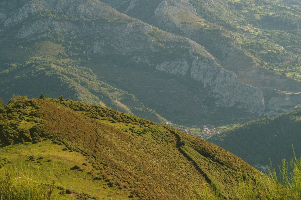 Una vista de una exuberante ladera verde con montañas en el fondo