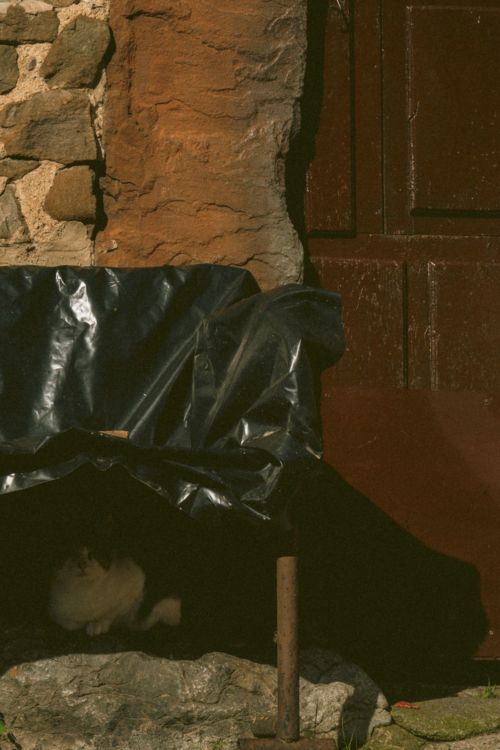 a cat sitting in a black tarp under a door