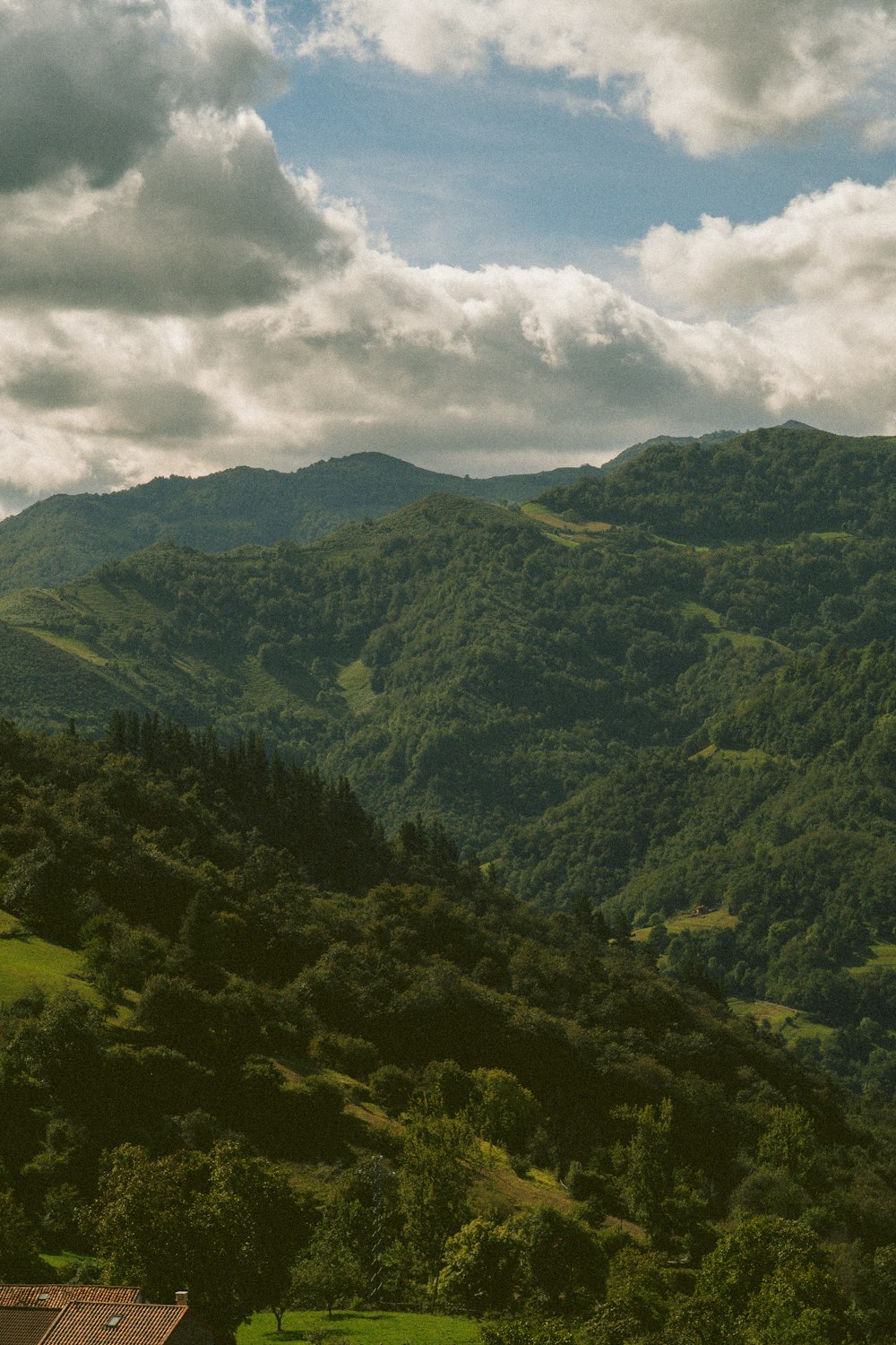 a view of a lush green hillside with a house in the foreground