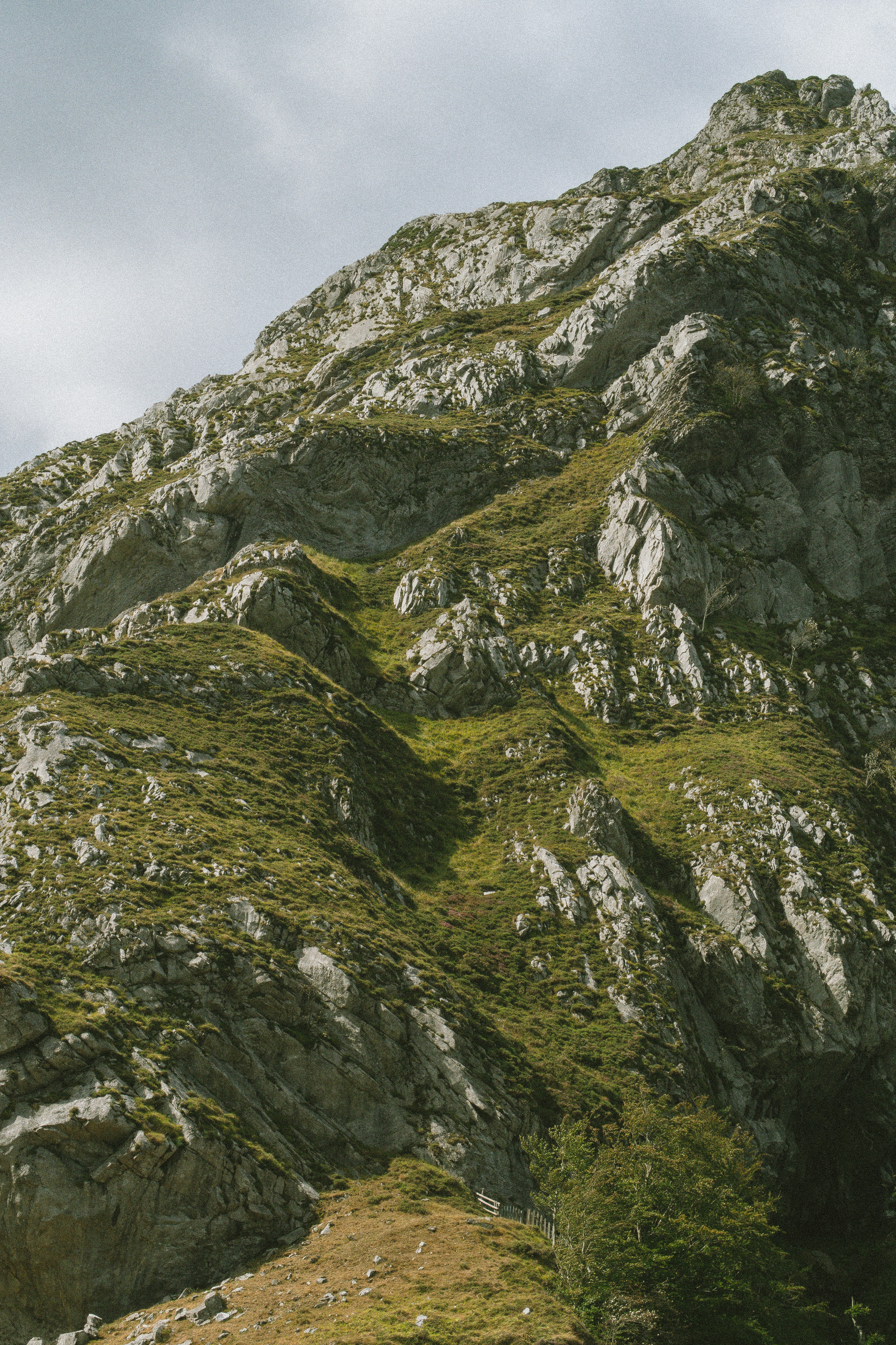 Photo by seenthroughmpk