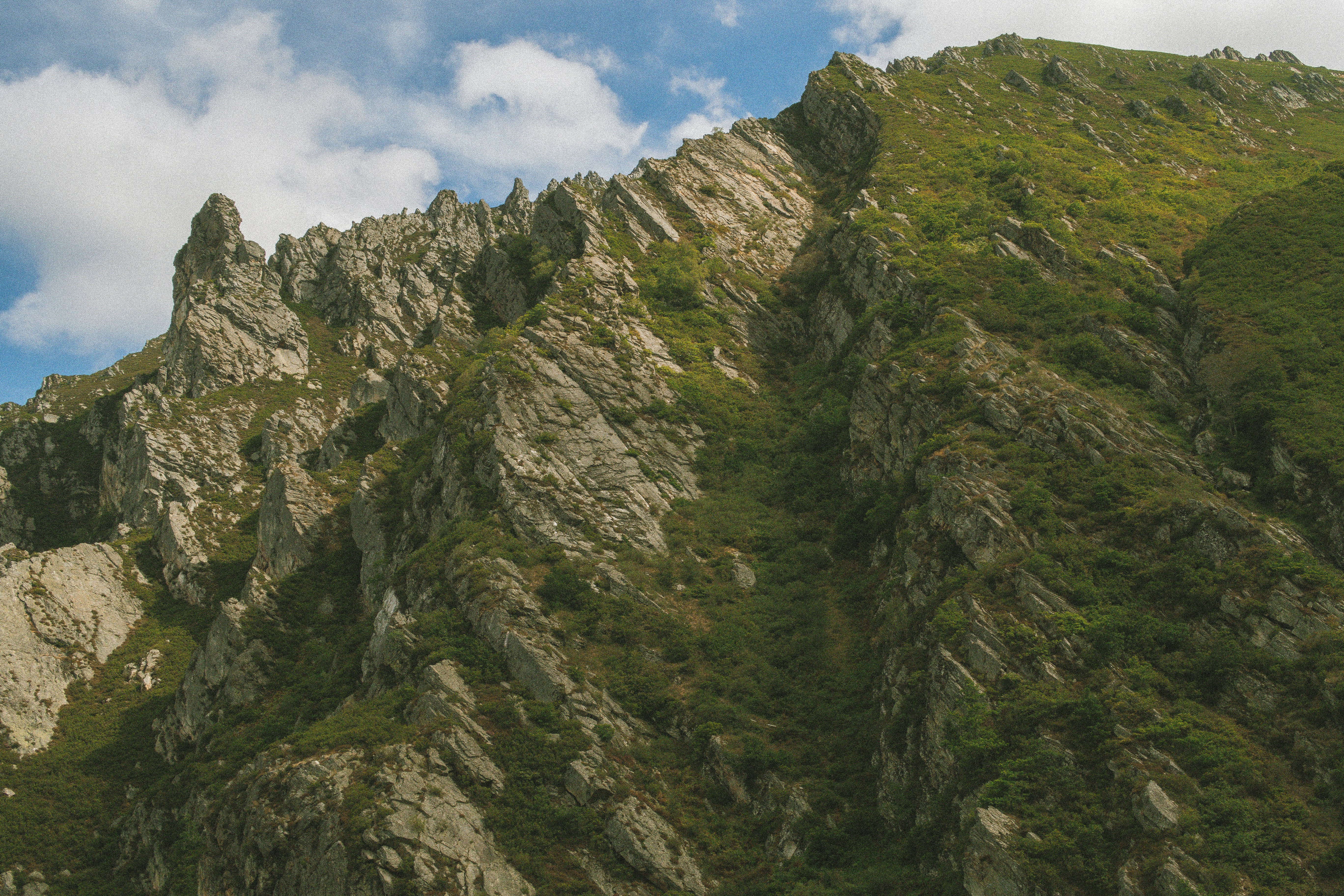 Photo by seenthroughmpk