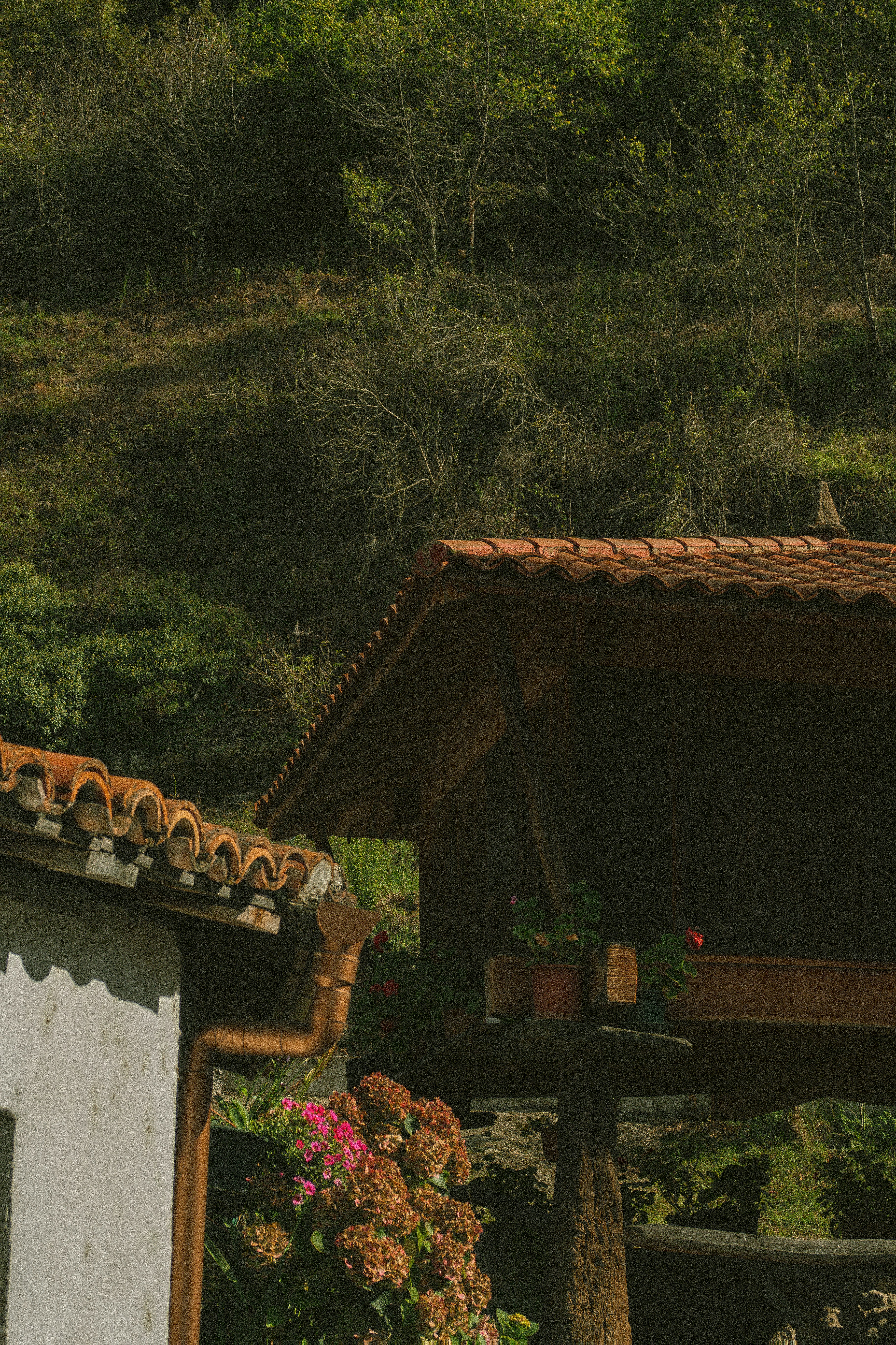 Photo by seenthroughmpk
