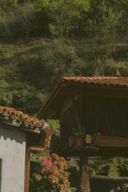 A rustic wooden structure with a terracotta roof sits on a stone pillar surrounded by lush greenery. Below, potted plants with vibrant flowers add color to the scene, and another building's roofline is visible. The dense foliage and trees create a natural backdrop.