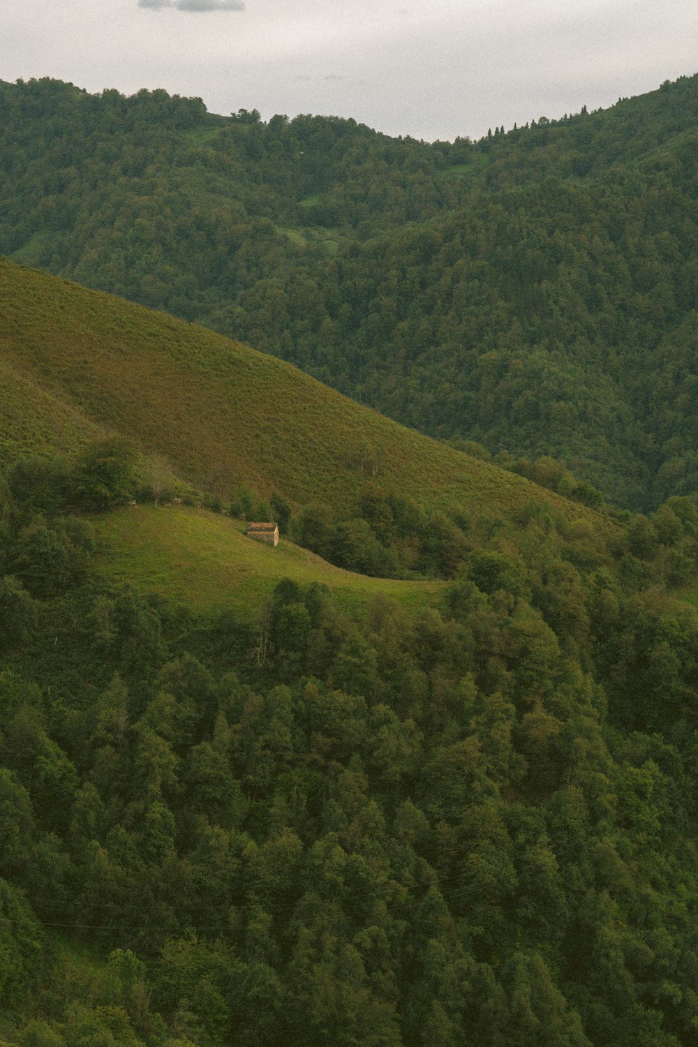 a lone house on a hill surrounded by trees