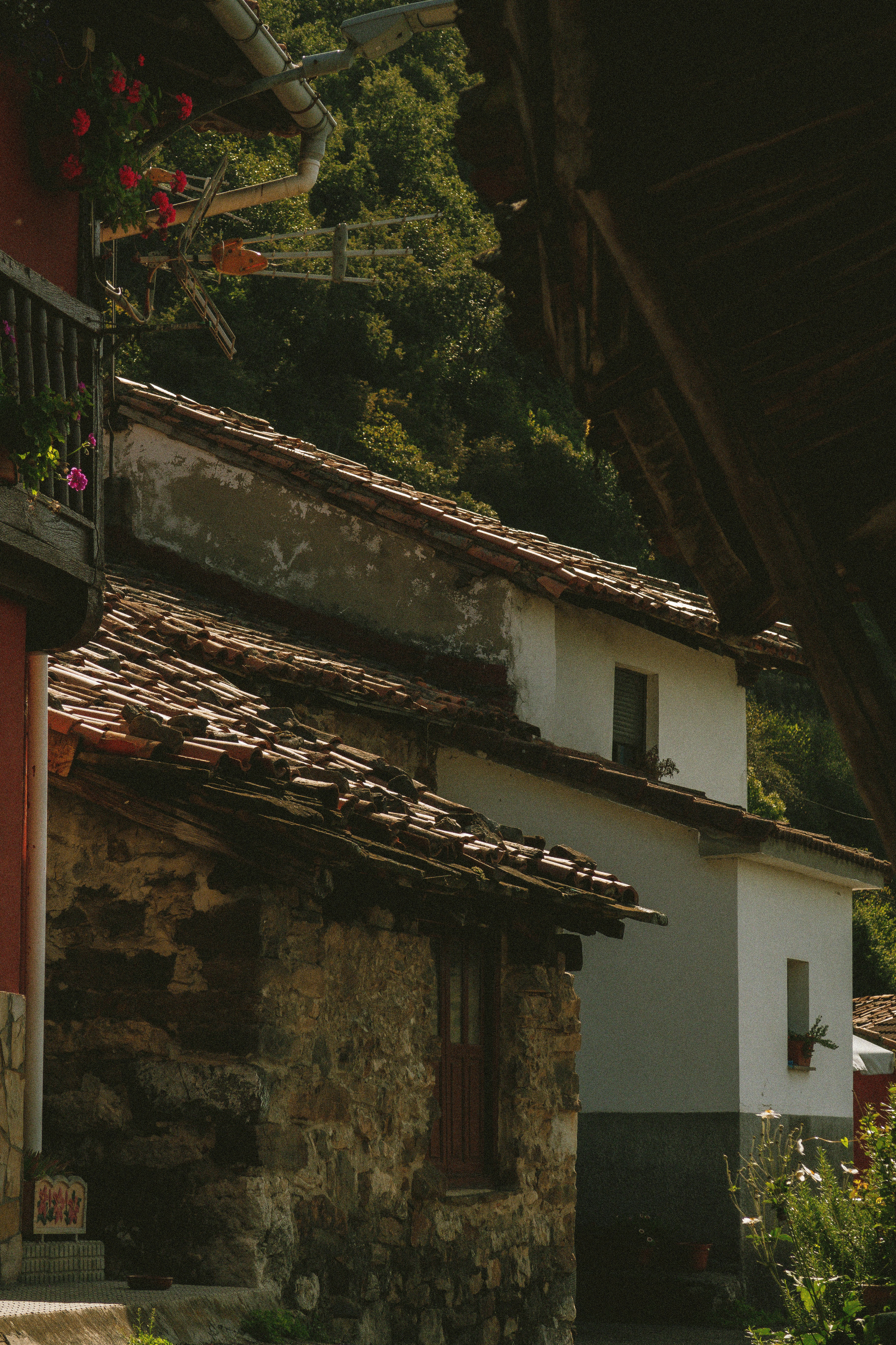 Paisaje rural Asturias