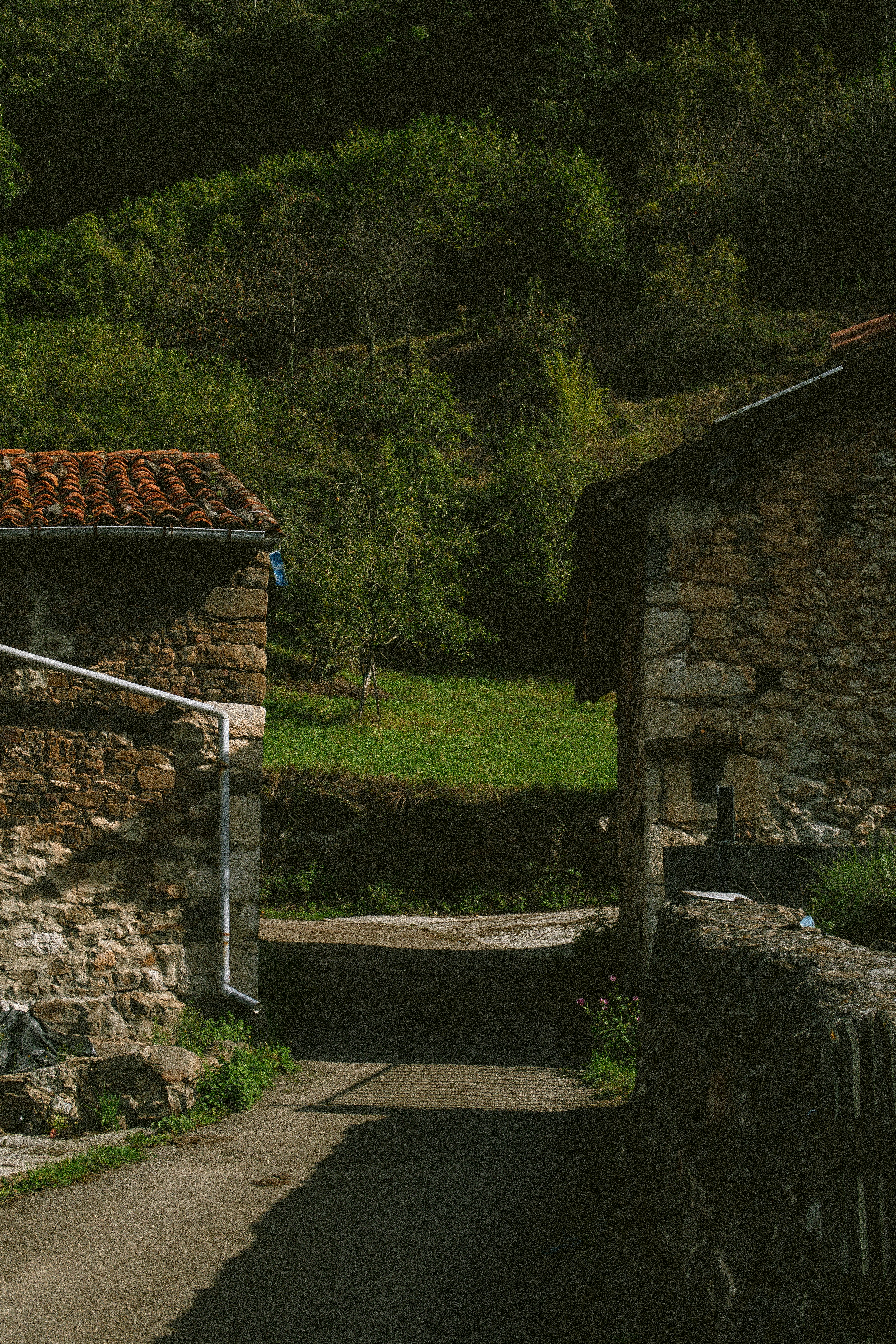 Photo by seenthroughmpk