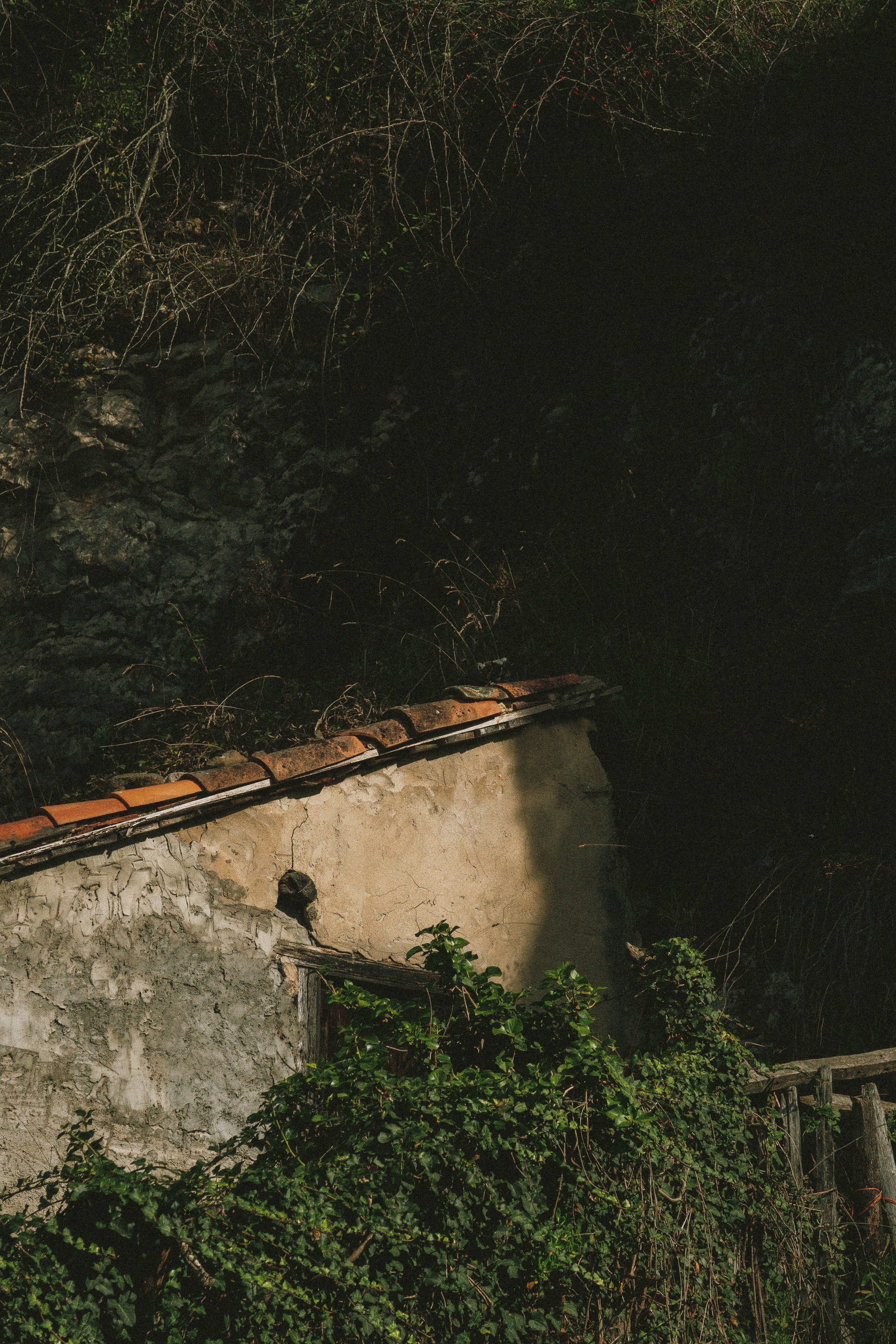 Photo by seenthroughmpk