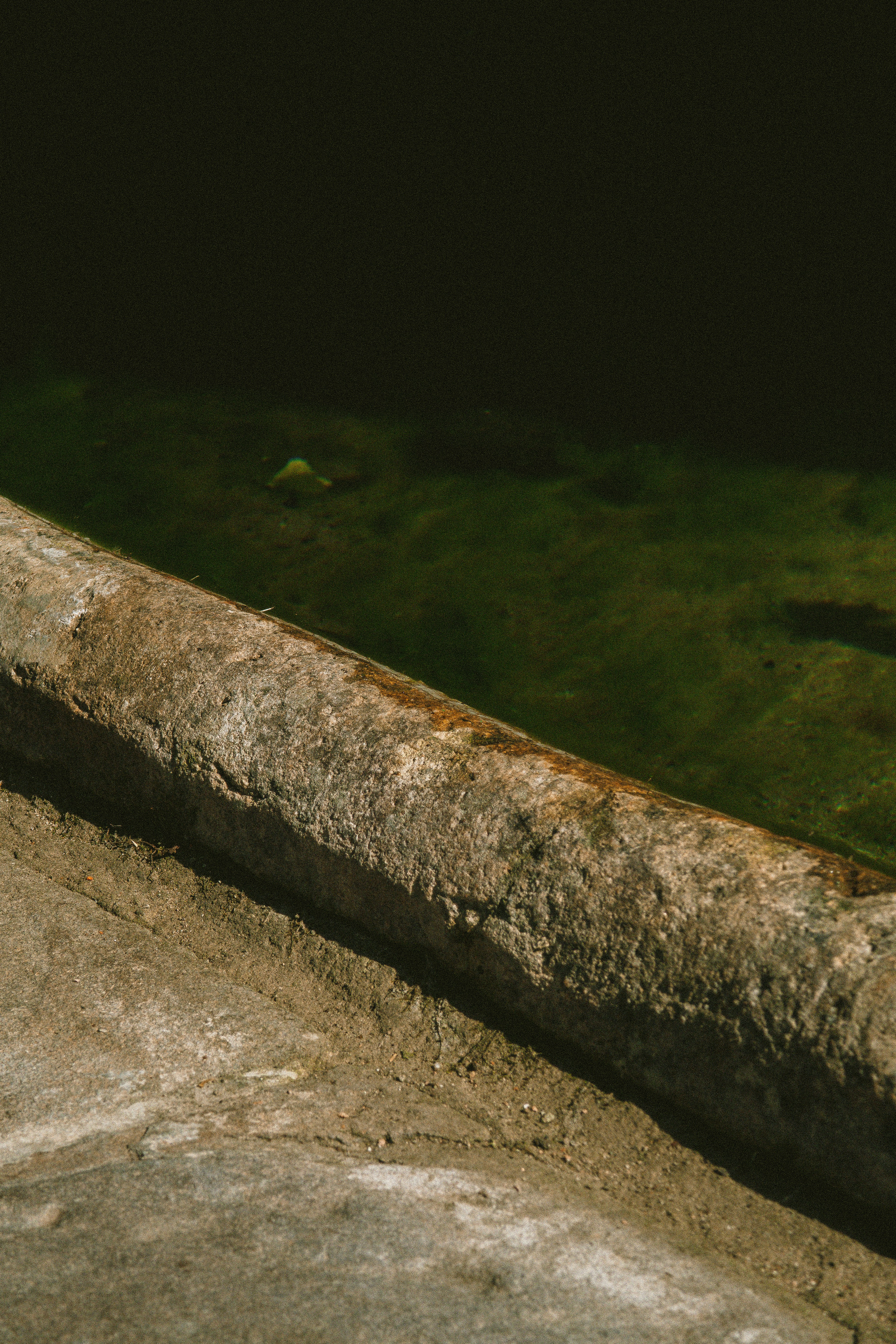 Nahaufnahme eines Vogels auf einem Felsvorsprung