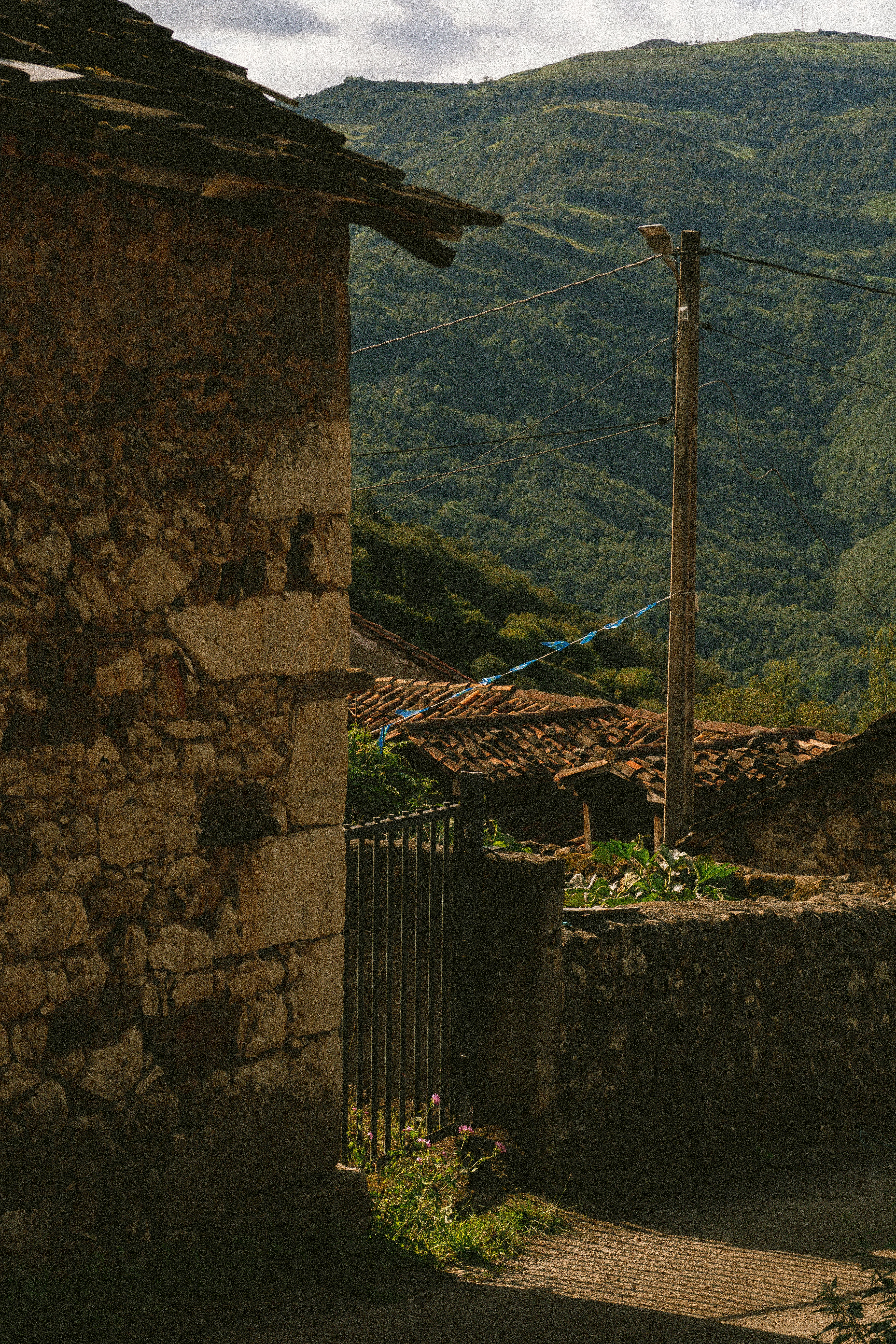 Photo by seenthroughmpk