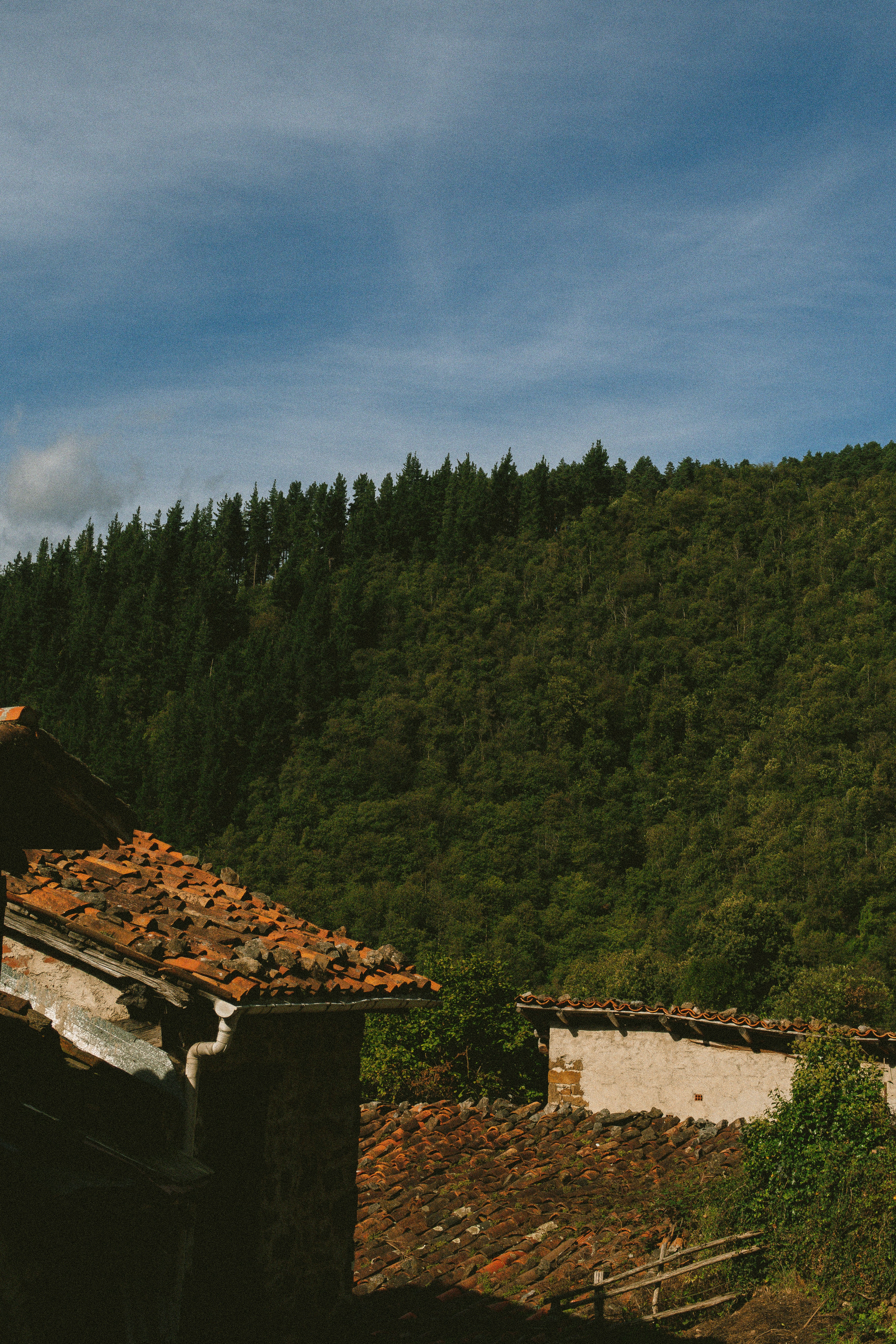 Photo by seenthroughmpk