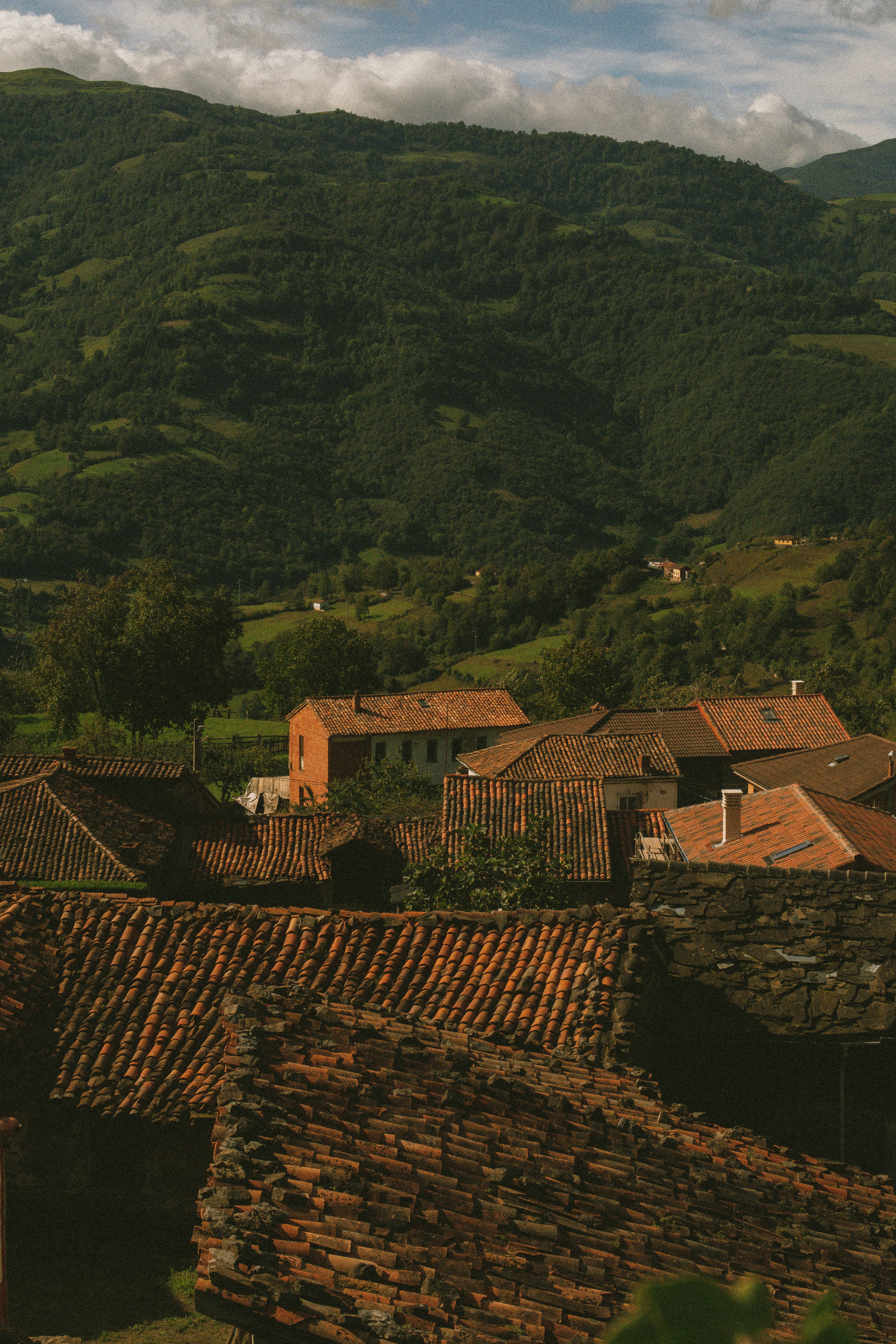 Photo by seenthroughmpk