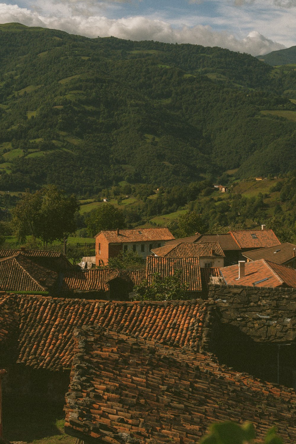 a view of a village with mountains in the background