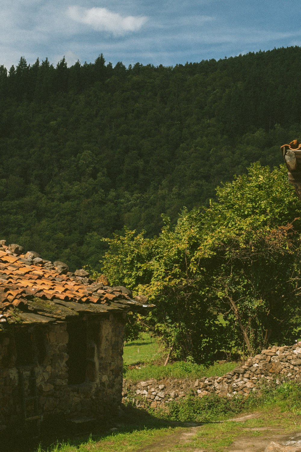 a cow standing on top of a lush green hillside