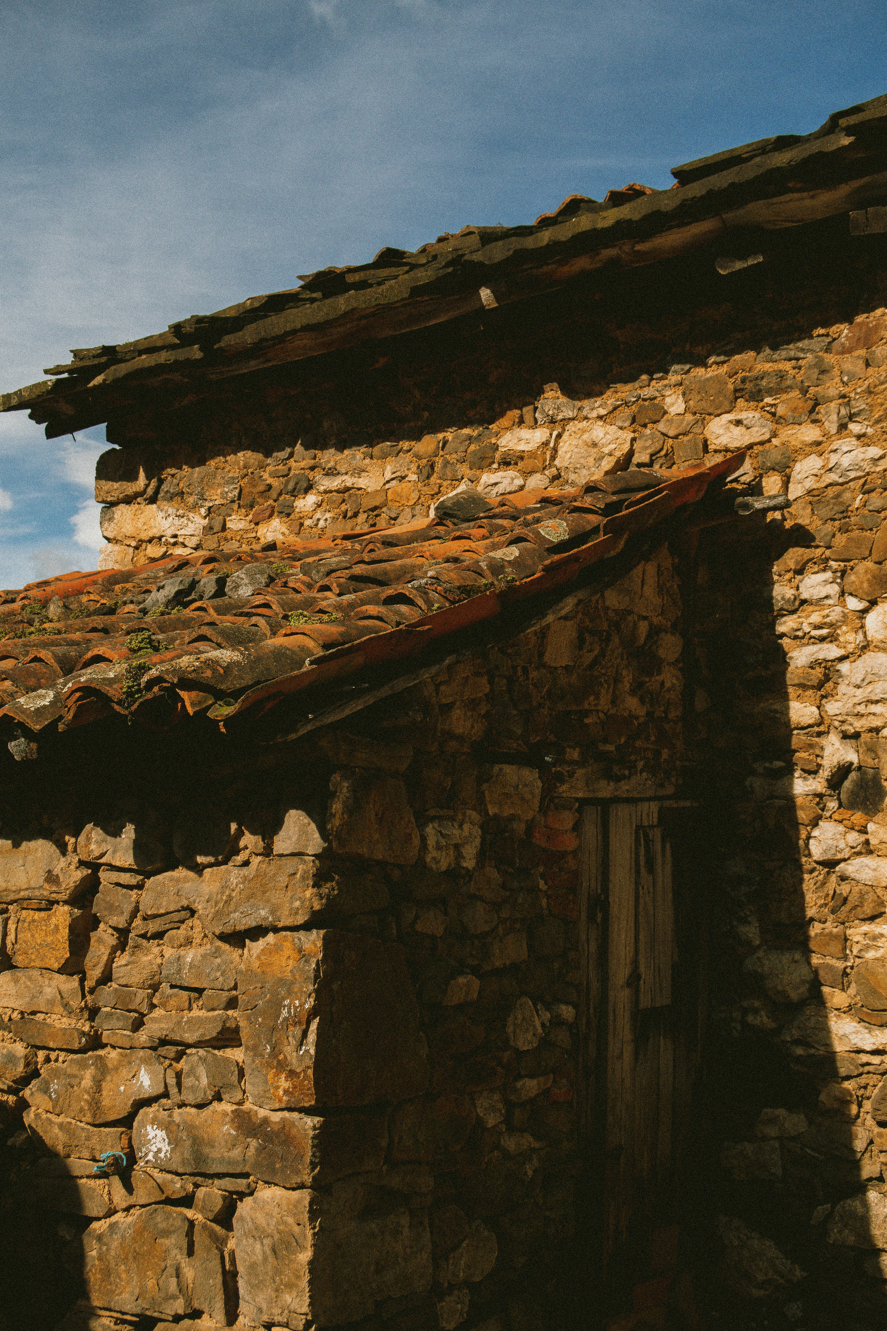 Photo by seenthroughmpk