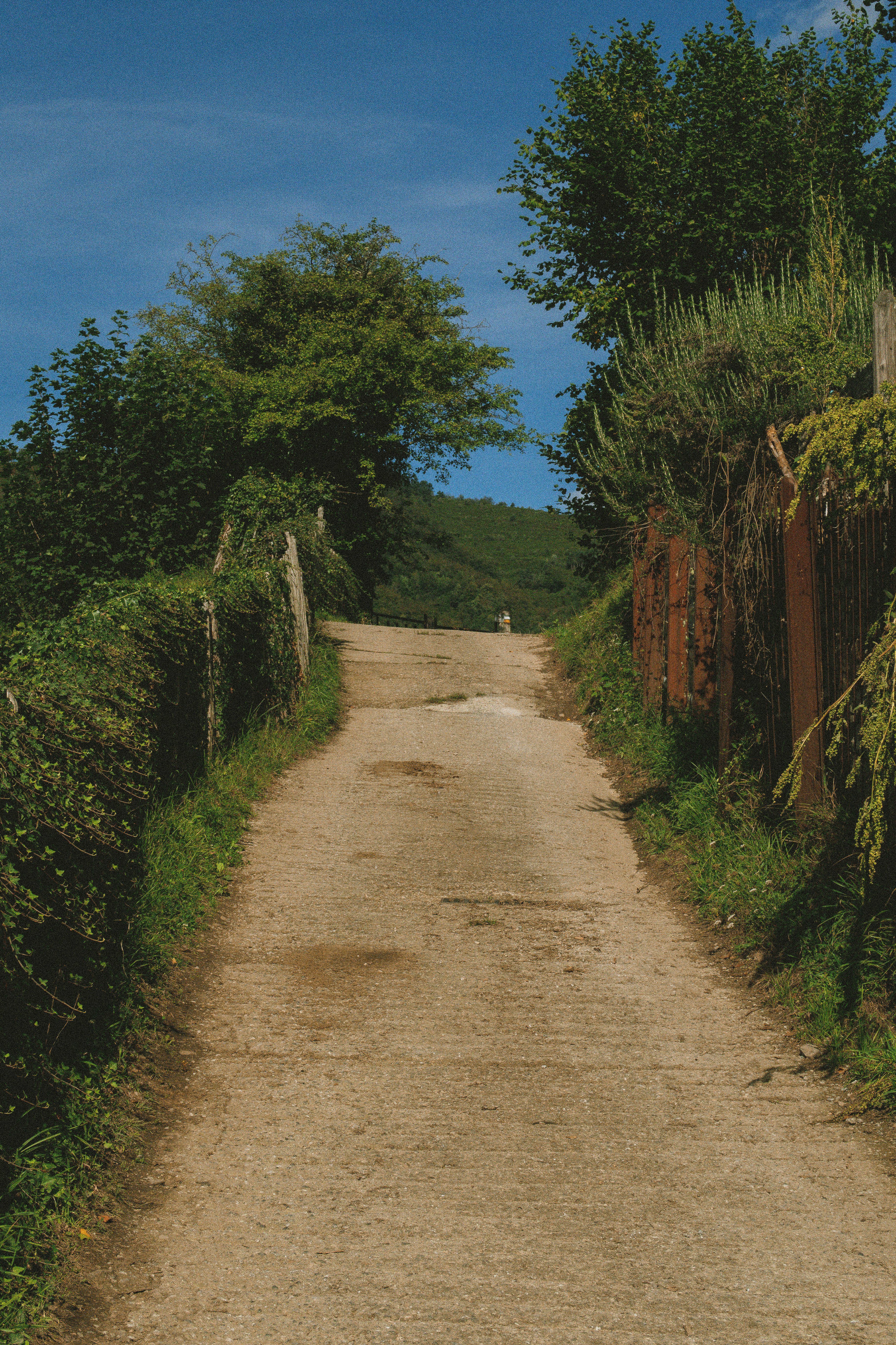 Photo by seenthroughmpk