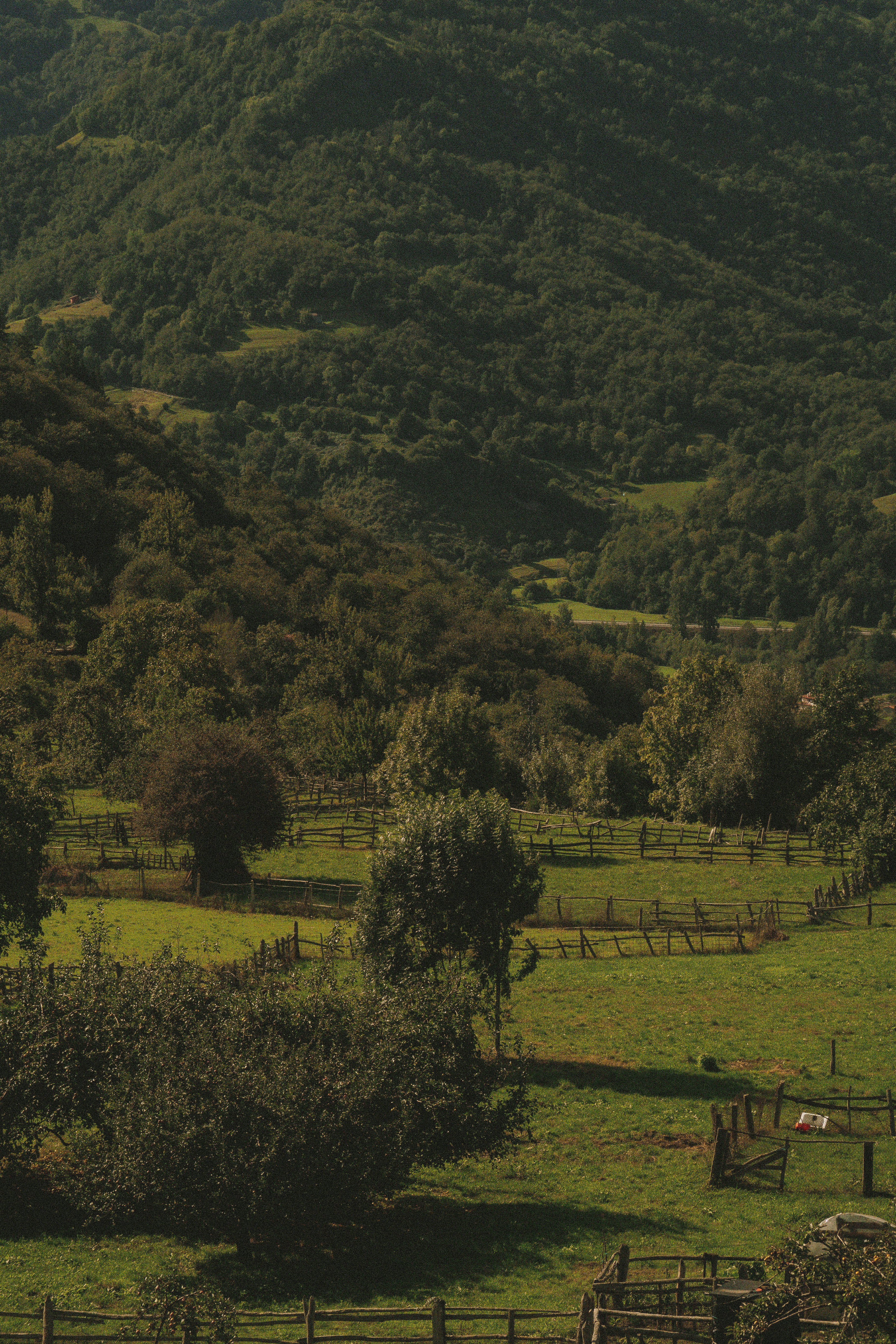 Photo by seenthroughmpk