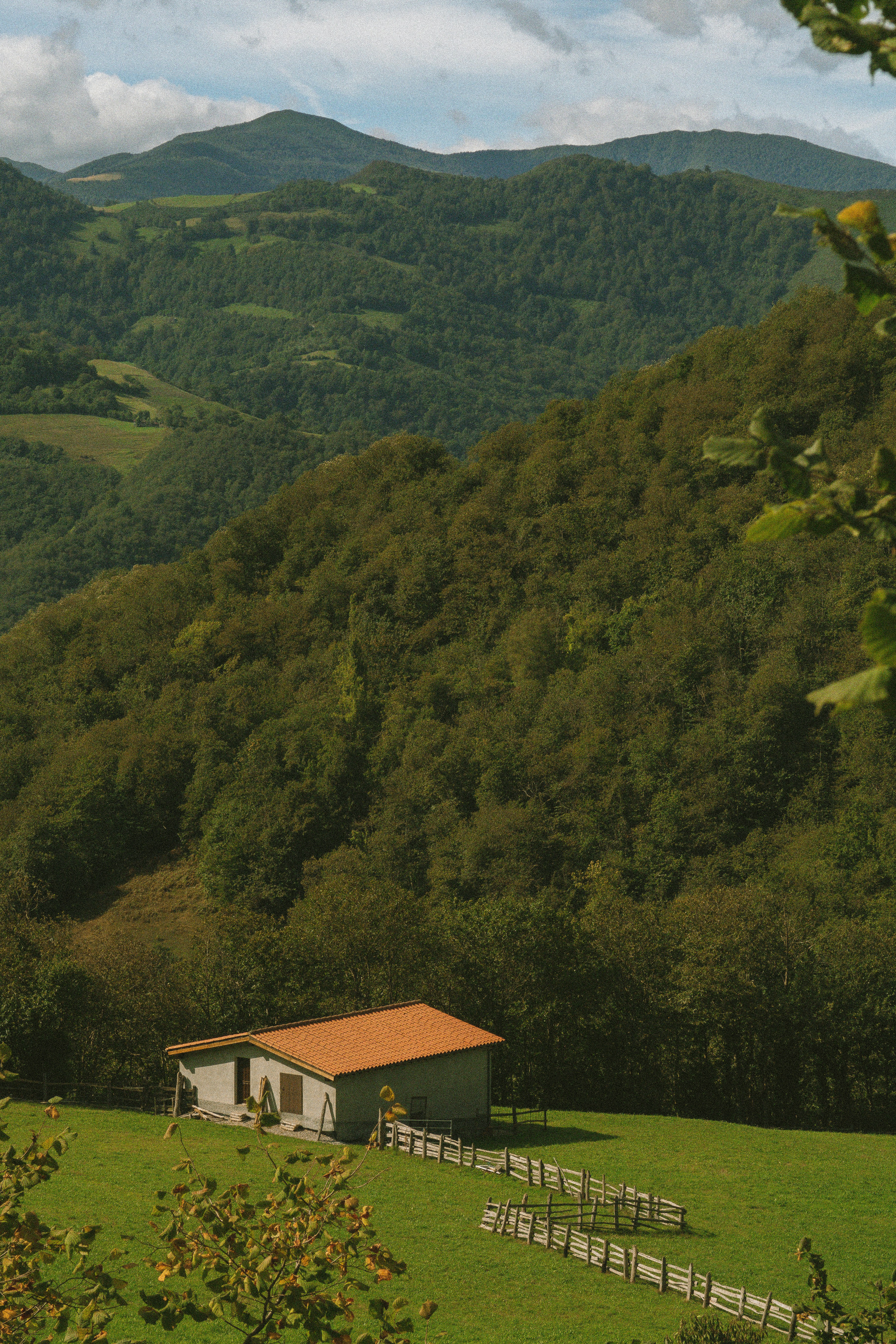 Photo by seenthroughmpk