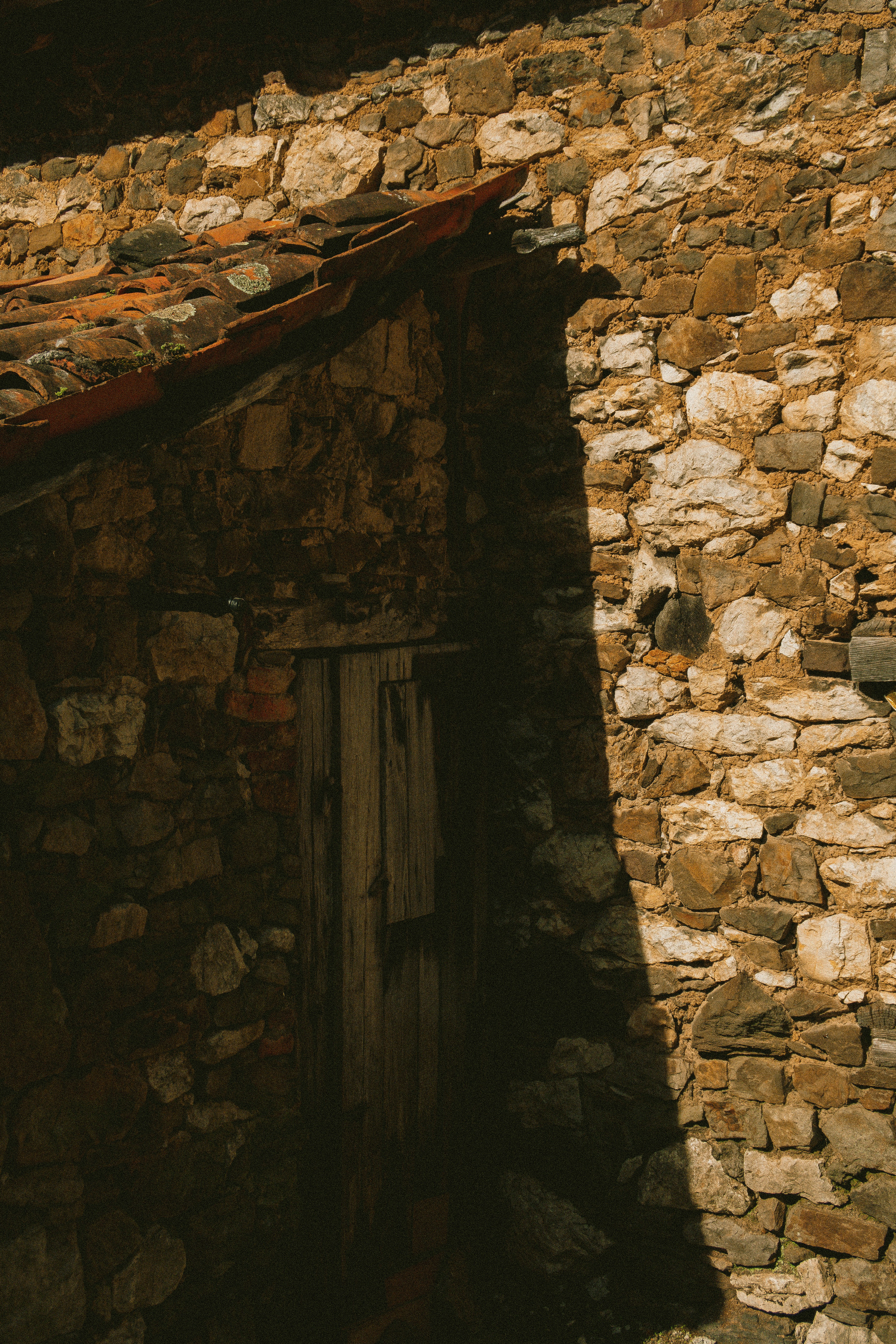 Photo by seenthroughmpk