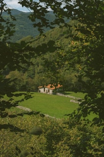 a house in the middle of a lush green field
