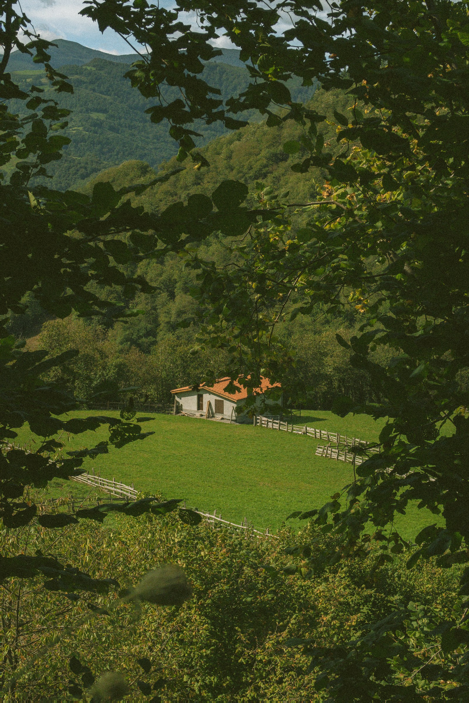 Search by Property
