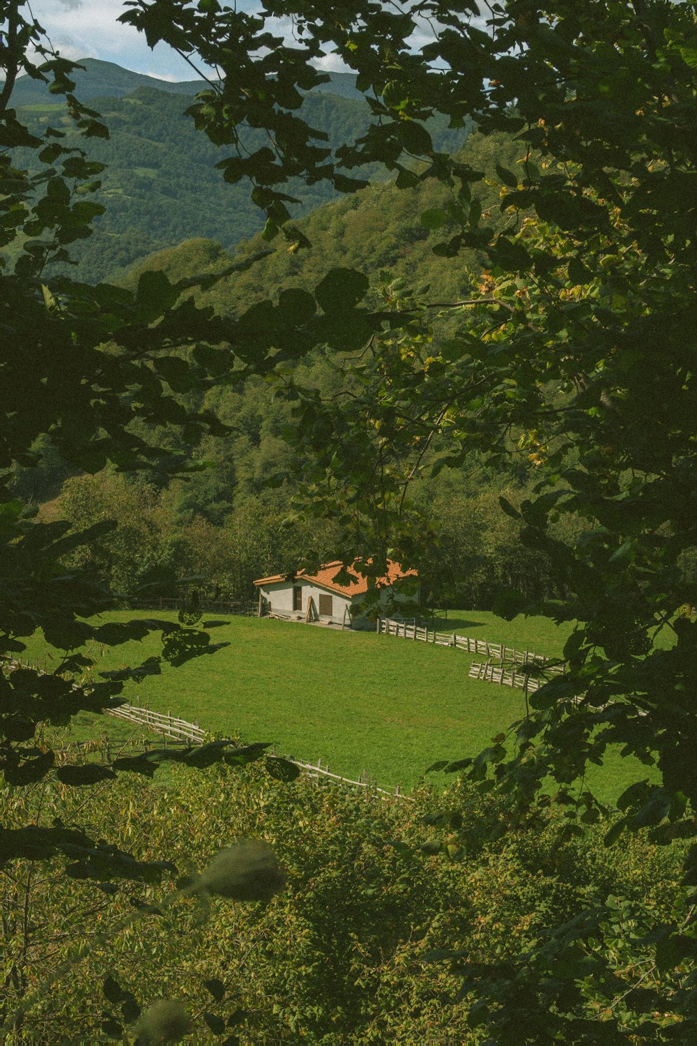 a house in the middle of a lush green field