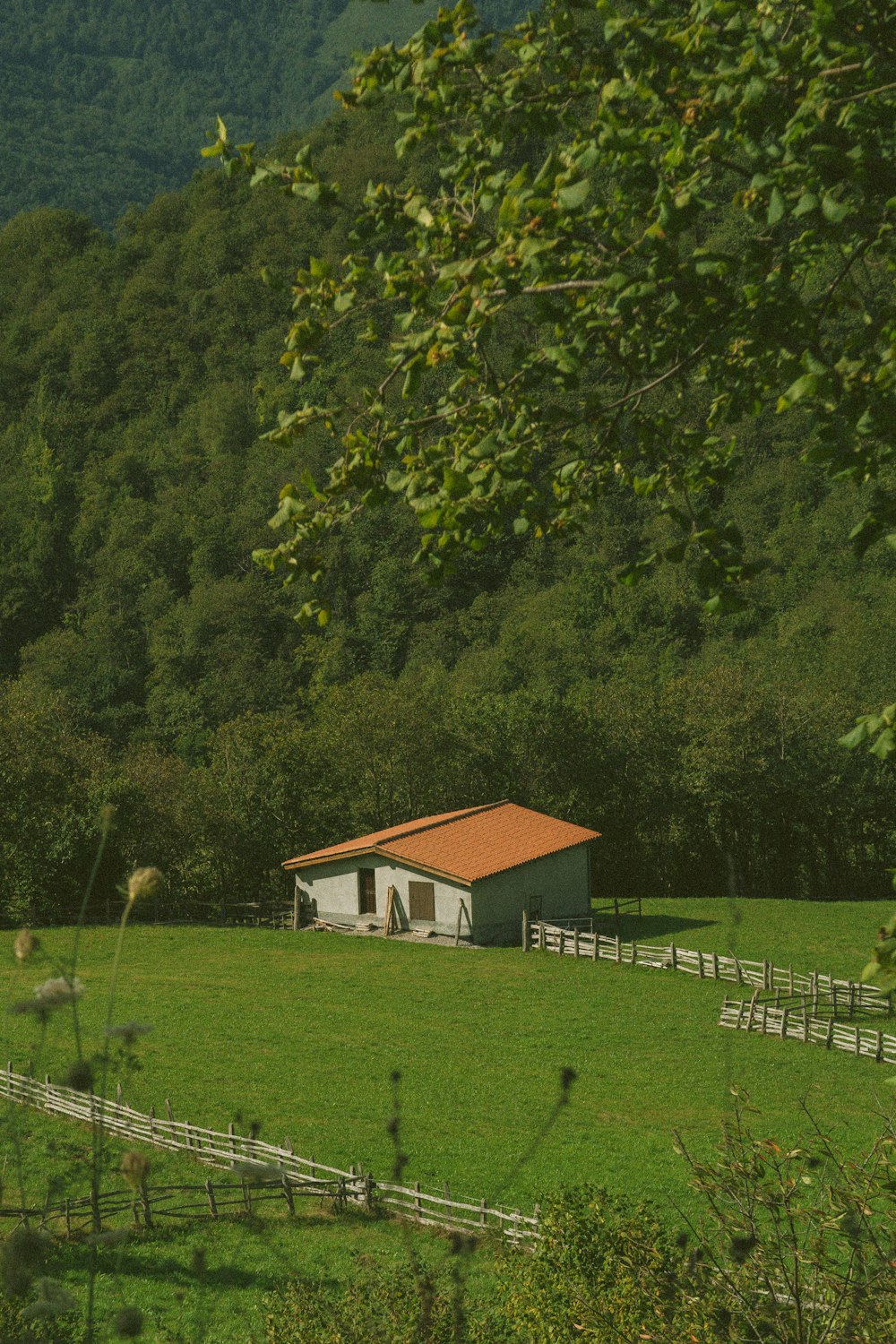 a barn in the middle of a lush green field