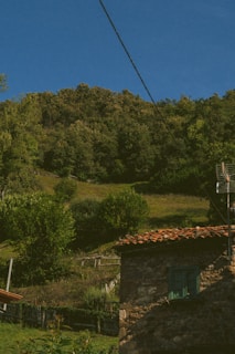 Rural house surrounded by trees with satellite dish visible.