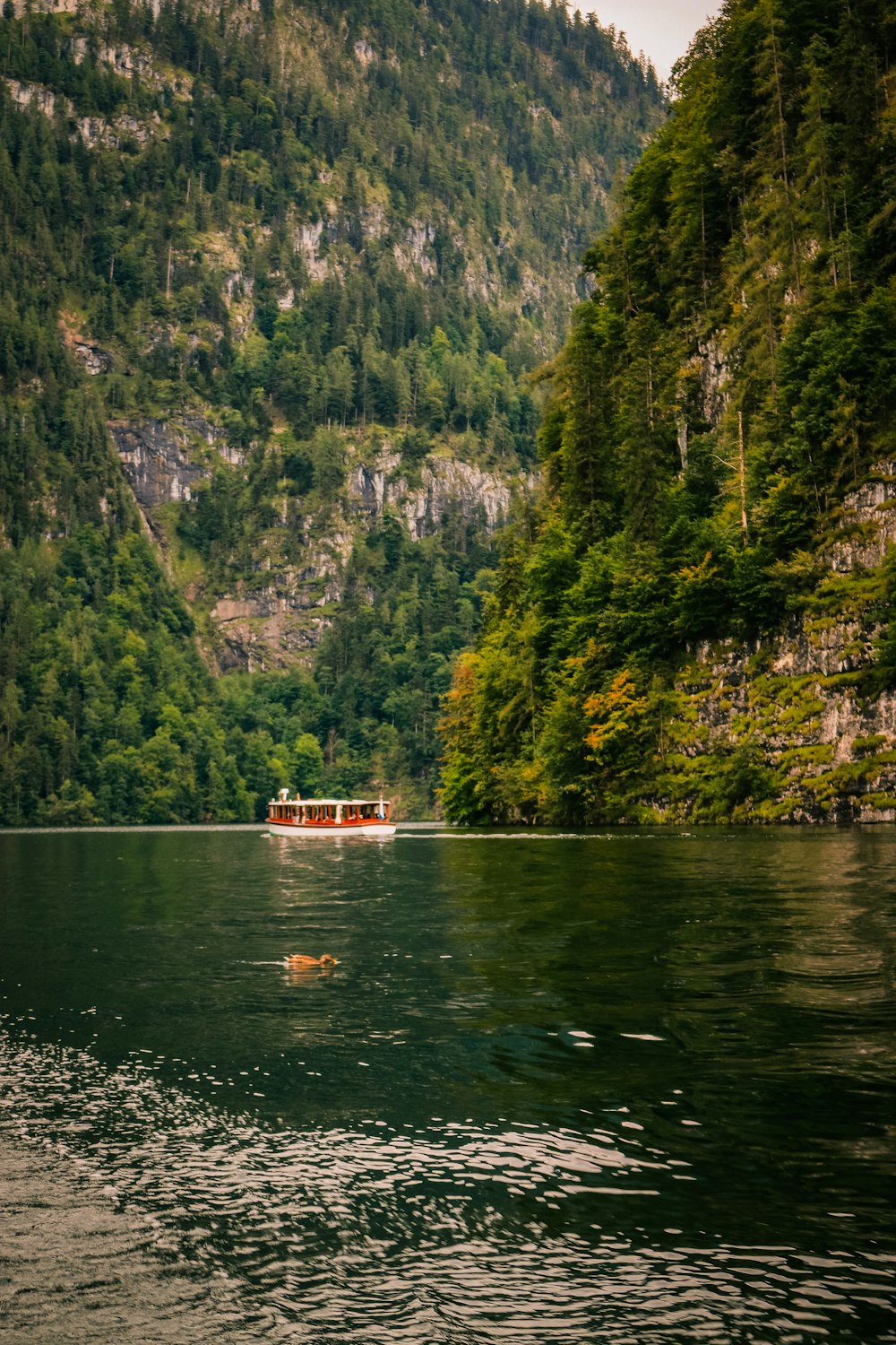 a boat traveling down a river next to a lush green hillside