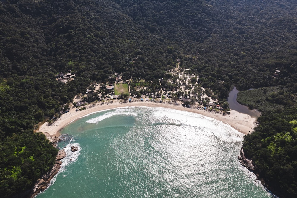 an aerial view of a beach surrounded by trees