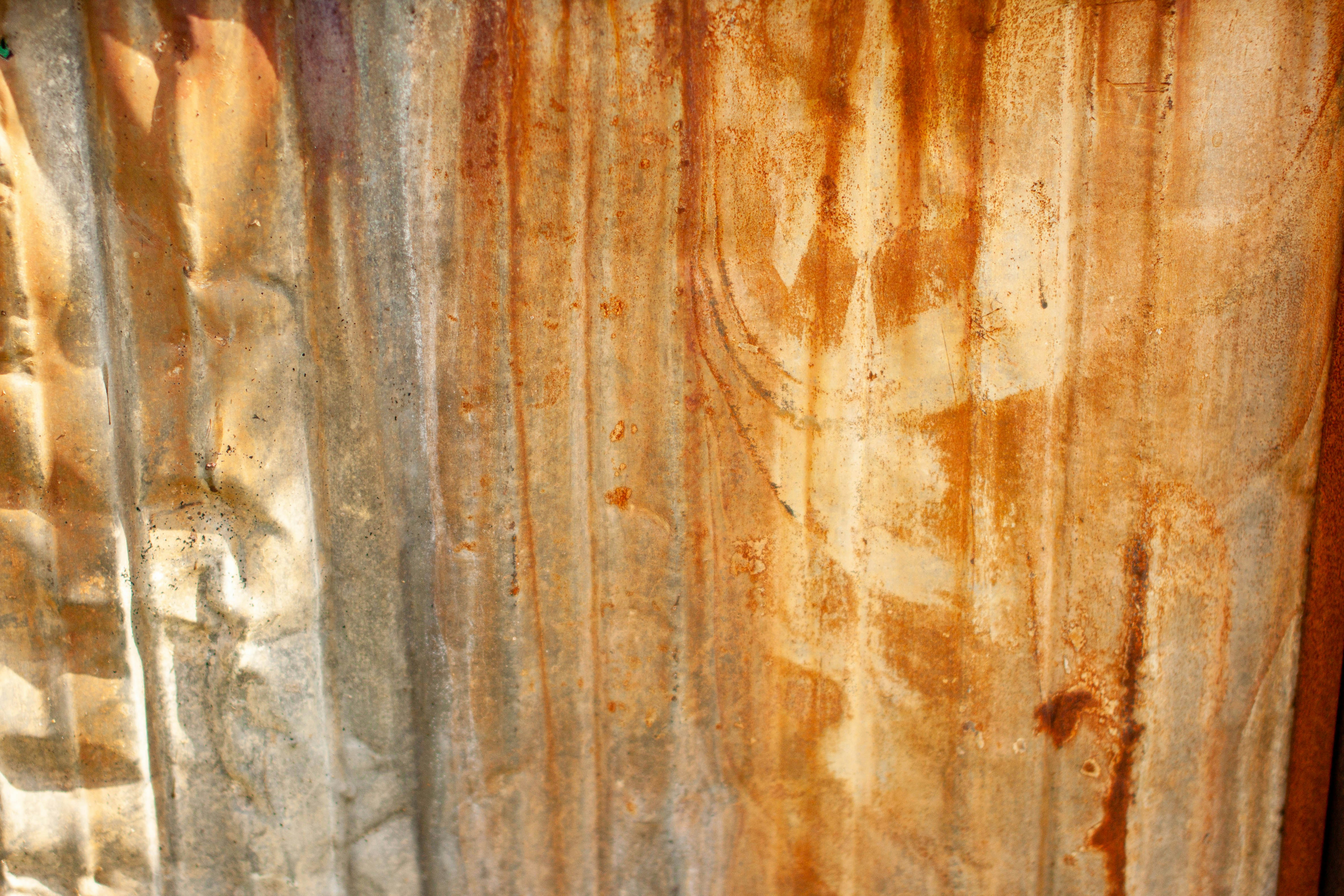 Photo by blackdegus_photo